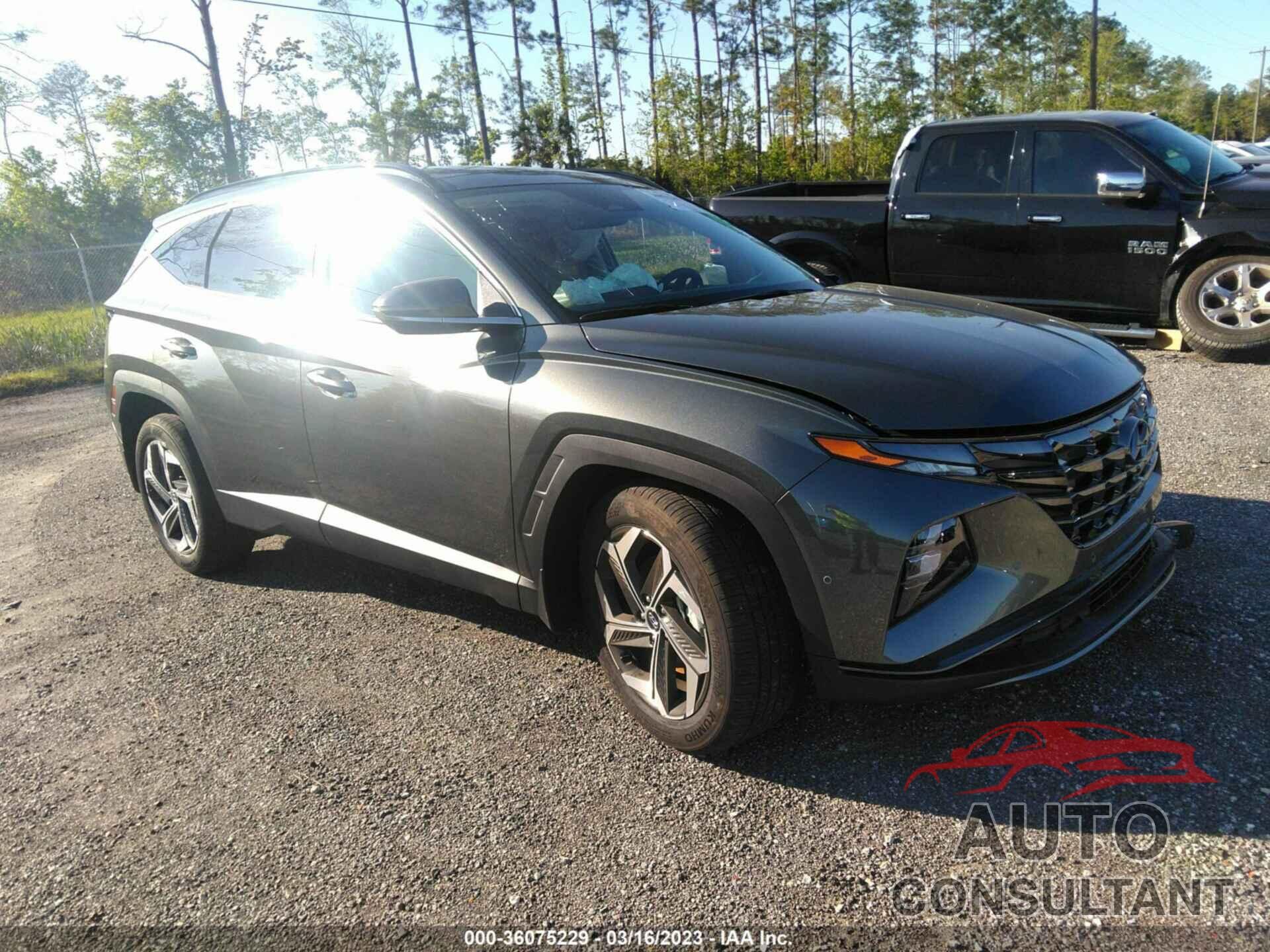 HYUNDAI TUCSON 2023 - 5NMJE3AE7PH217752