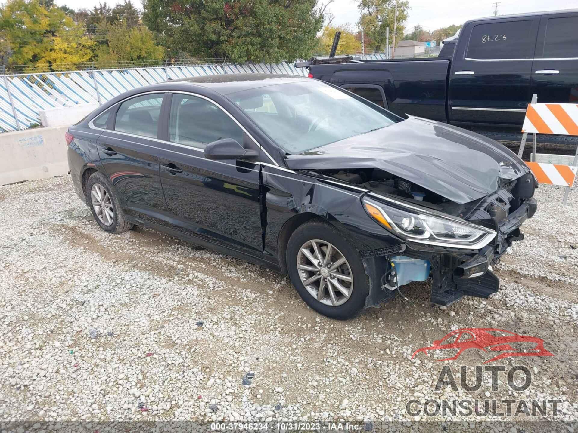 HYUNDAI SONATA 2019 - 5NPE24AF3KH738634