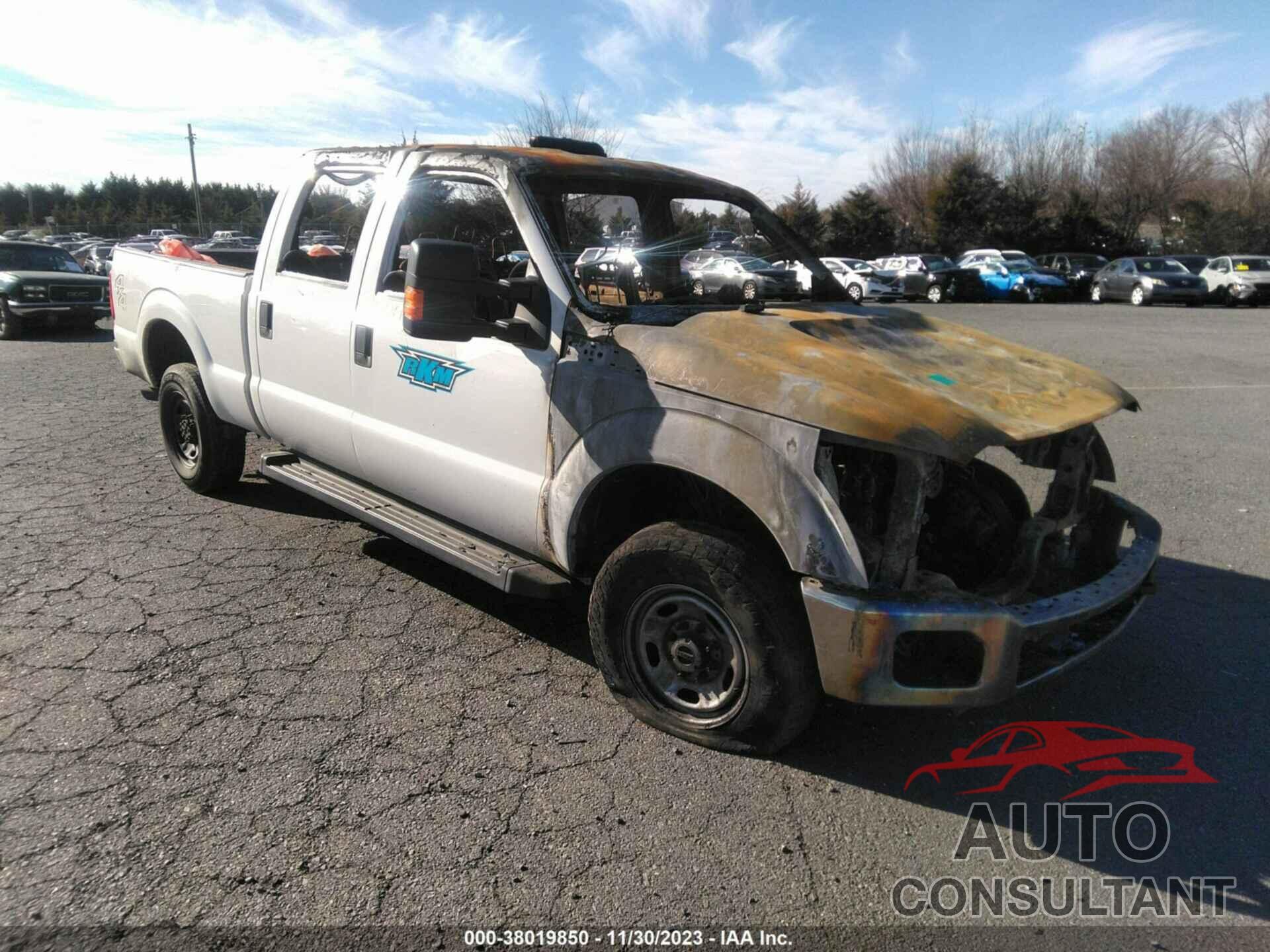 FORD SUPER DUTY F-250 SRW 2016 - 1FT7W2B63GEC24595