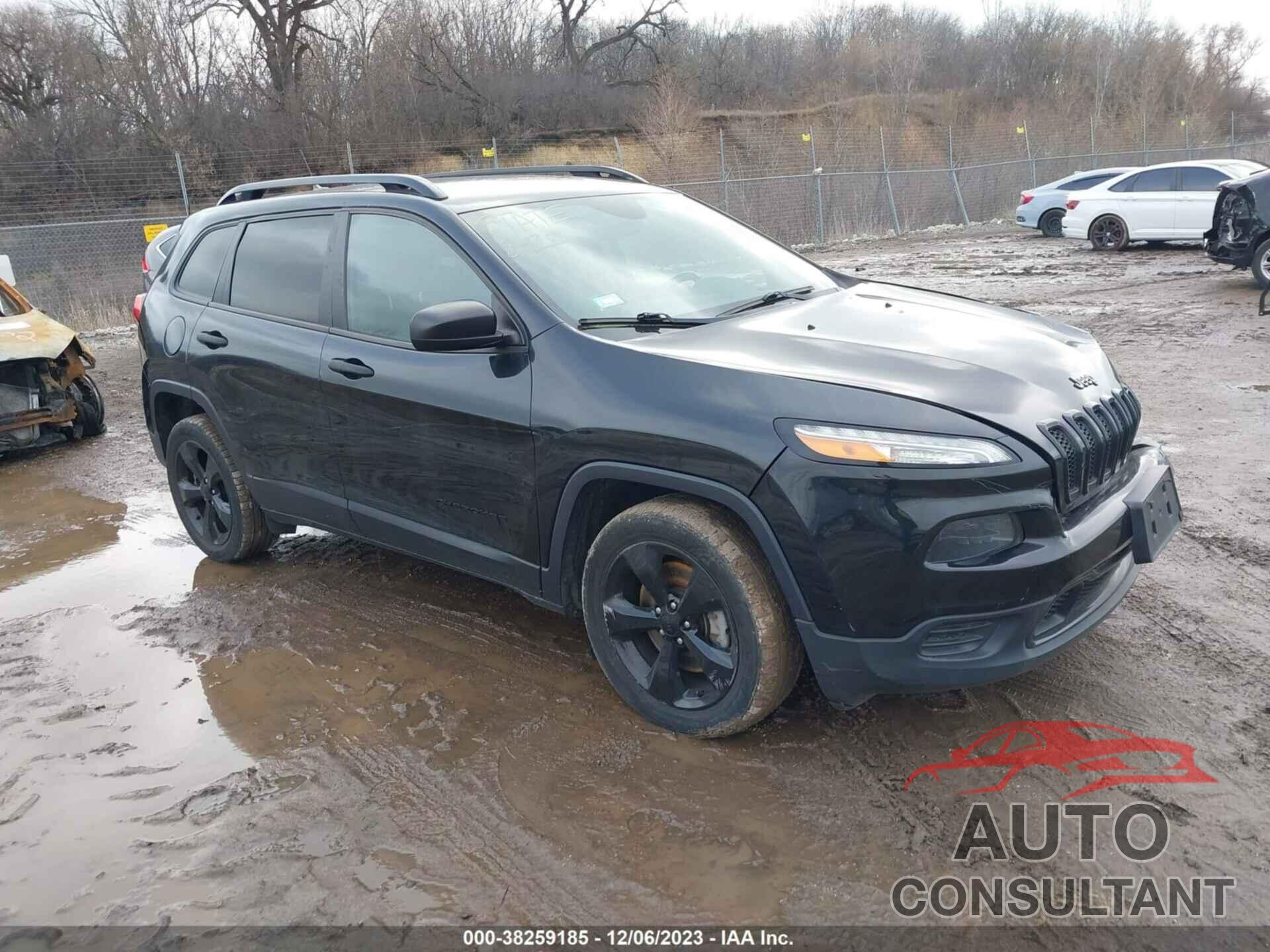 JEEP CHEROKEE 2016 - 1C4PJLAB3GW369245