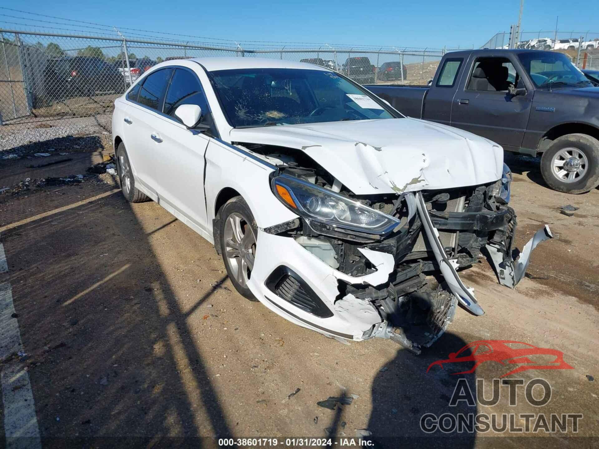 HYUNDAI SONATA 2019 - 5NPE34AF0KH729354