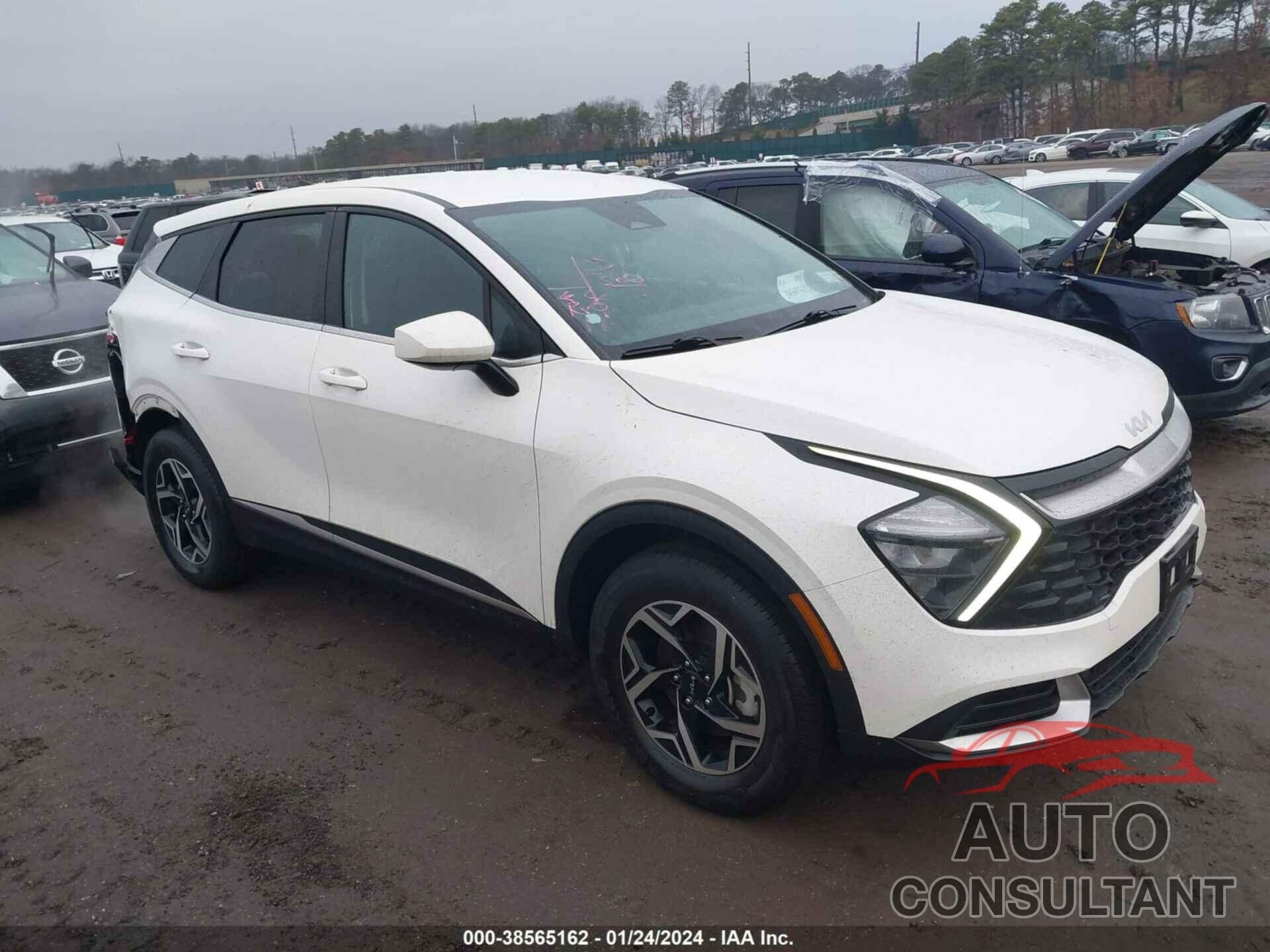 KIA SPORTAGE 2023 - KNDPUCAF4P7036217