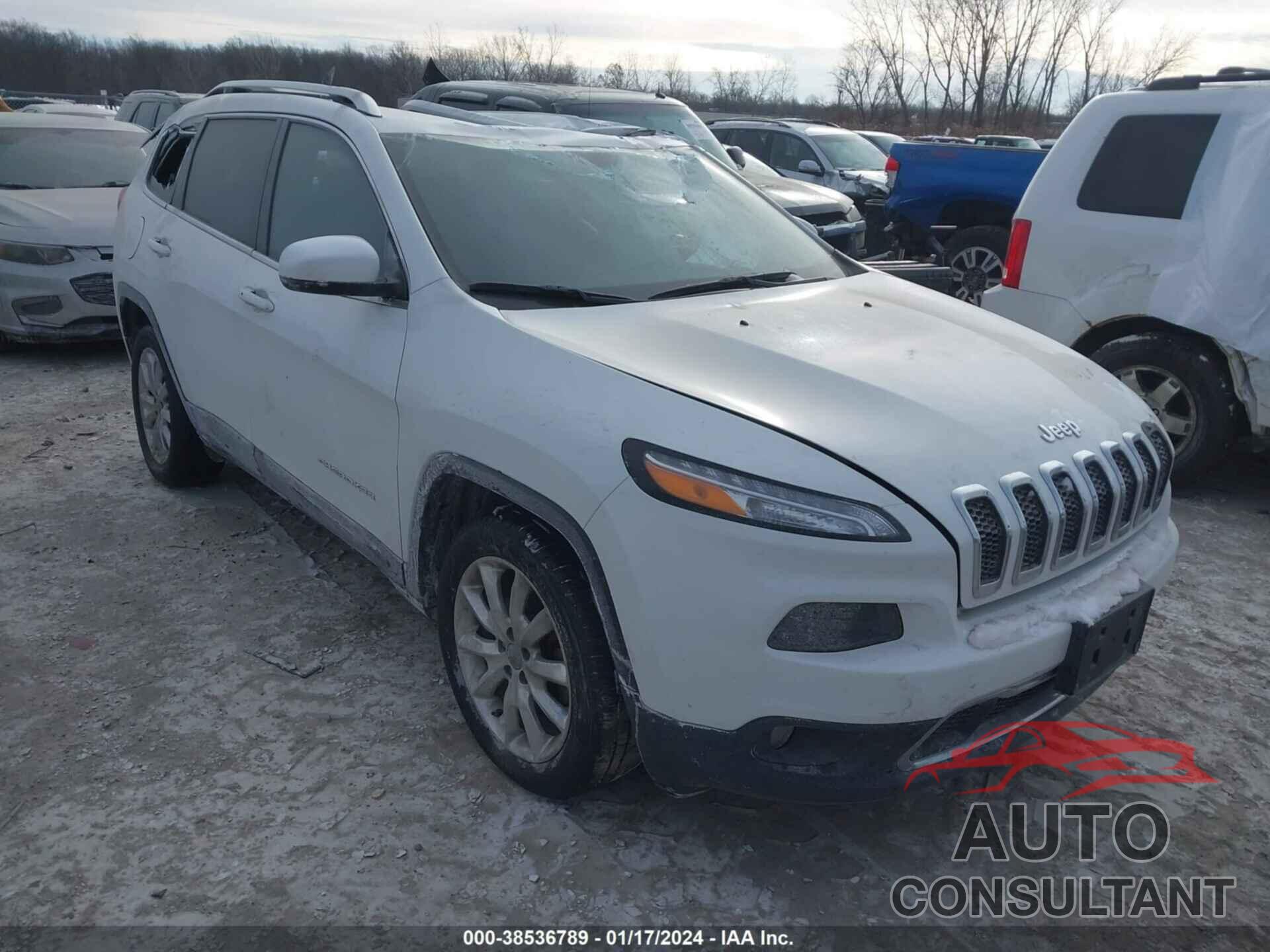 JEEP CHEROKEE 2016 - 1C4PJLDB4GW217356