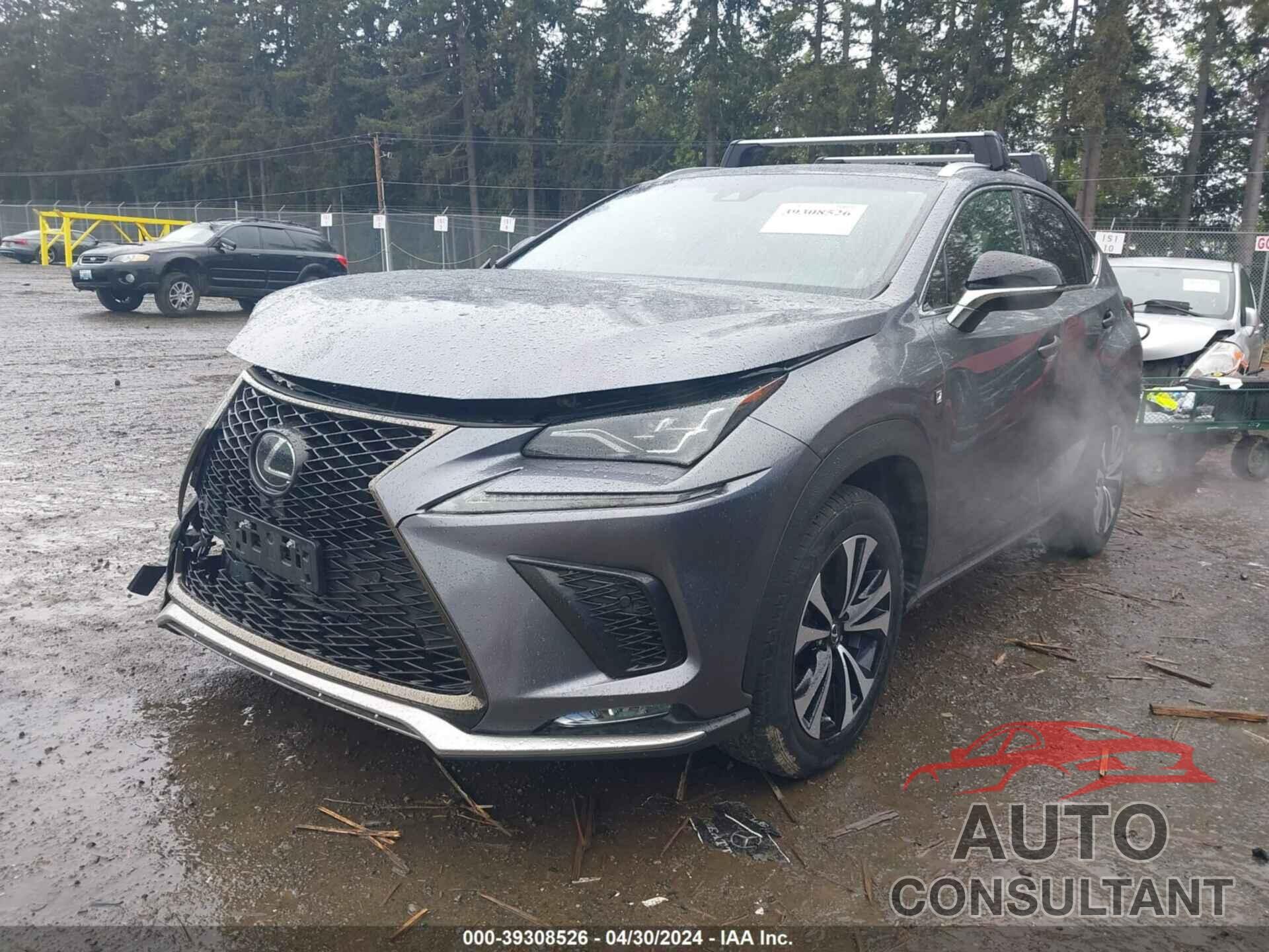 LEXUS NX 300 2019 - JTJBARBZ3K2190743