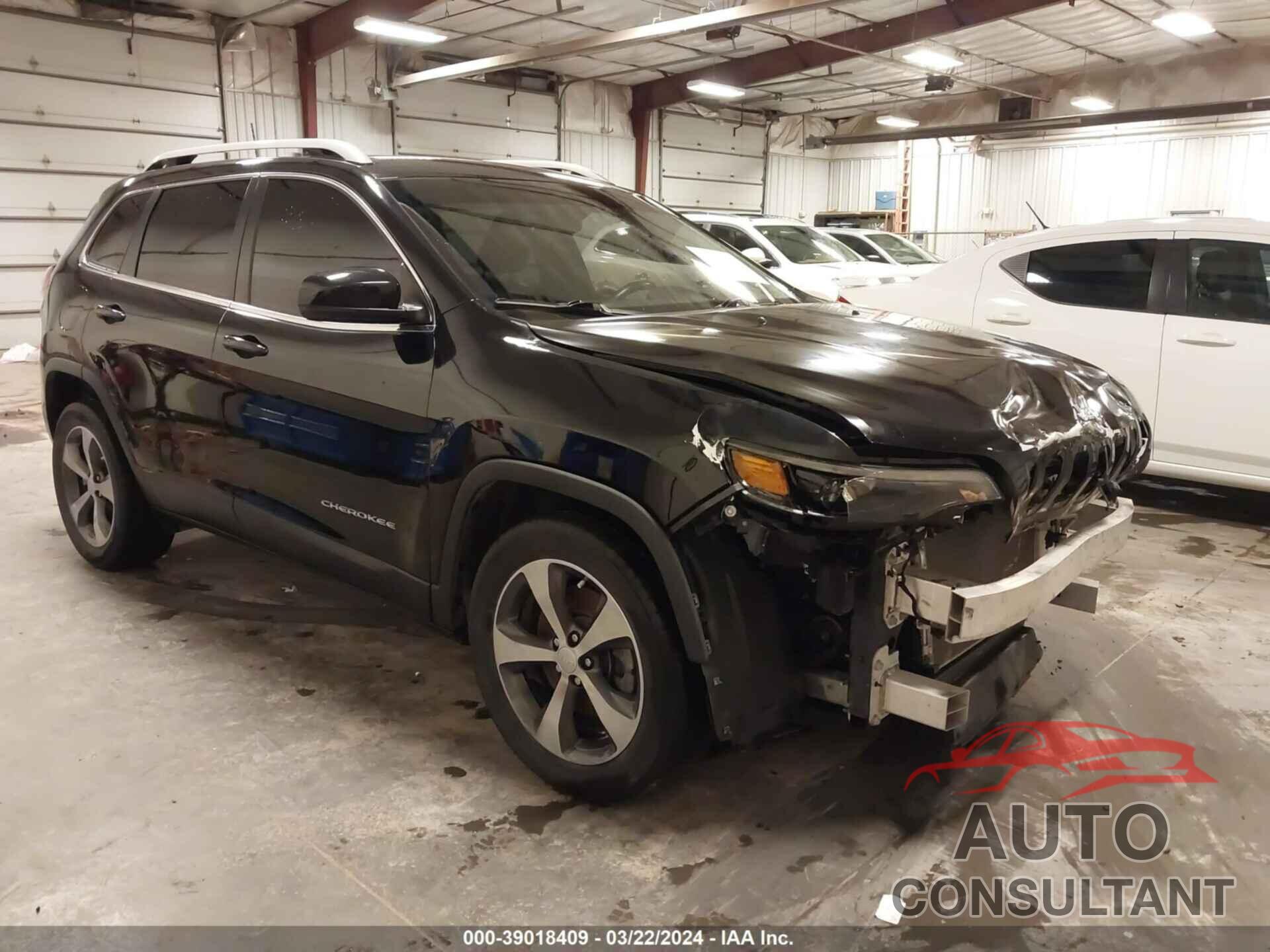 JEEP CHEROKEE 2019 - 1C4PJLDB7KD302356