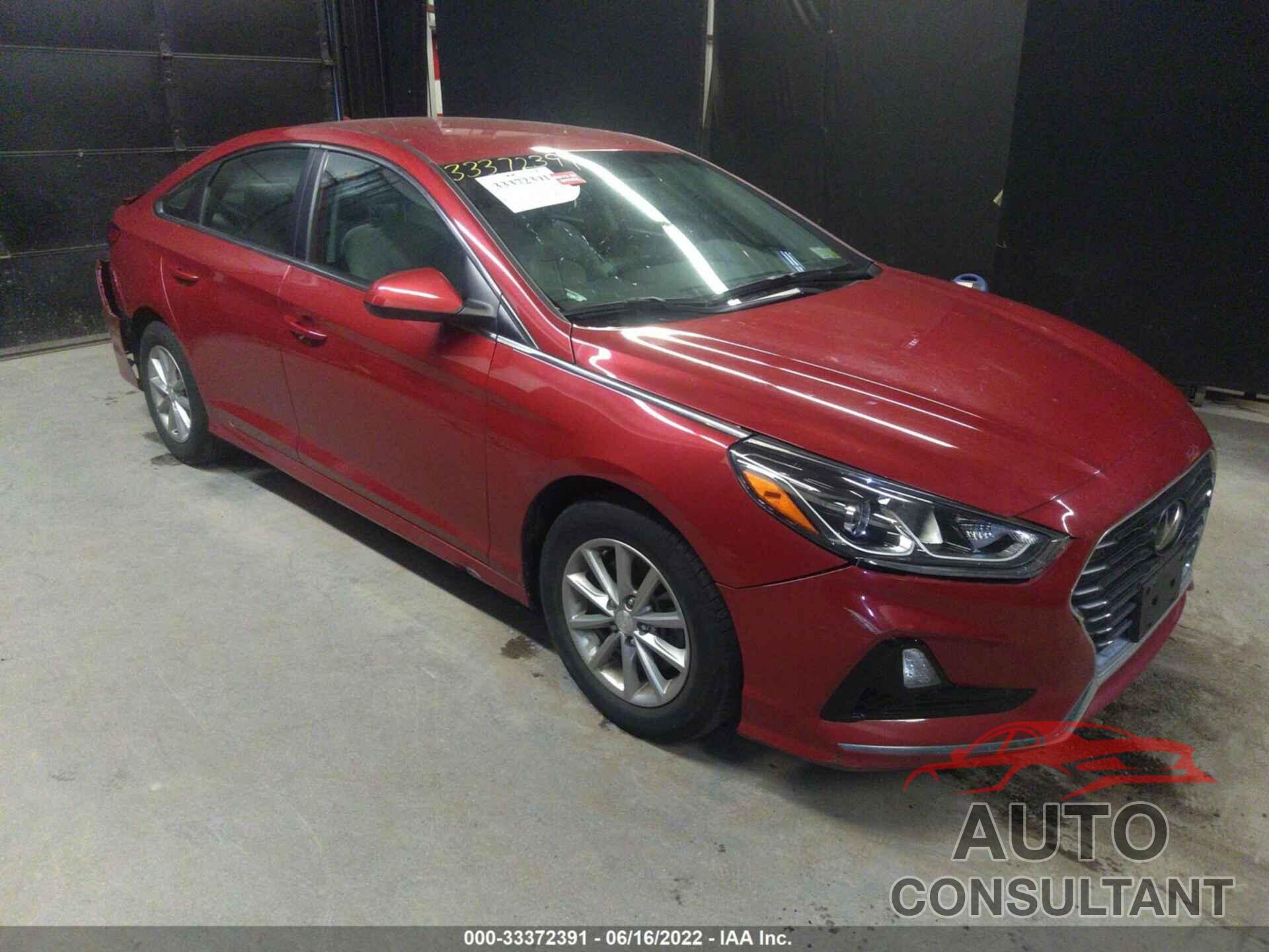 HYUNDAI SONATA 2019 - 5NPE24AFXKH789614