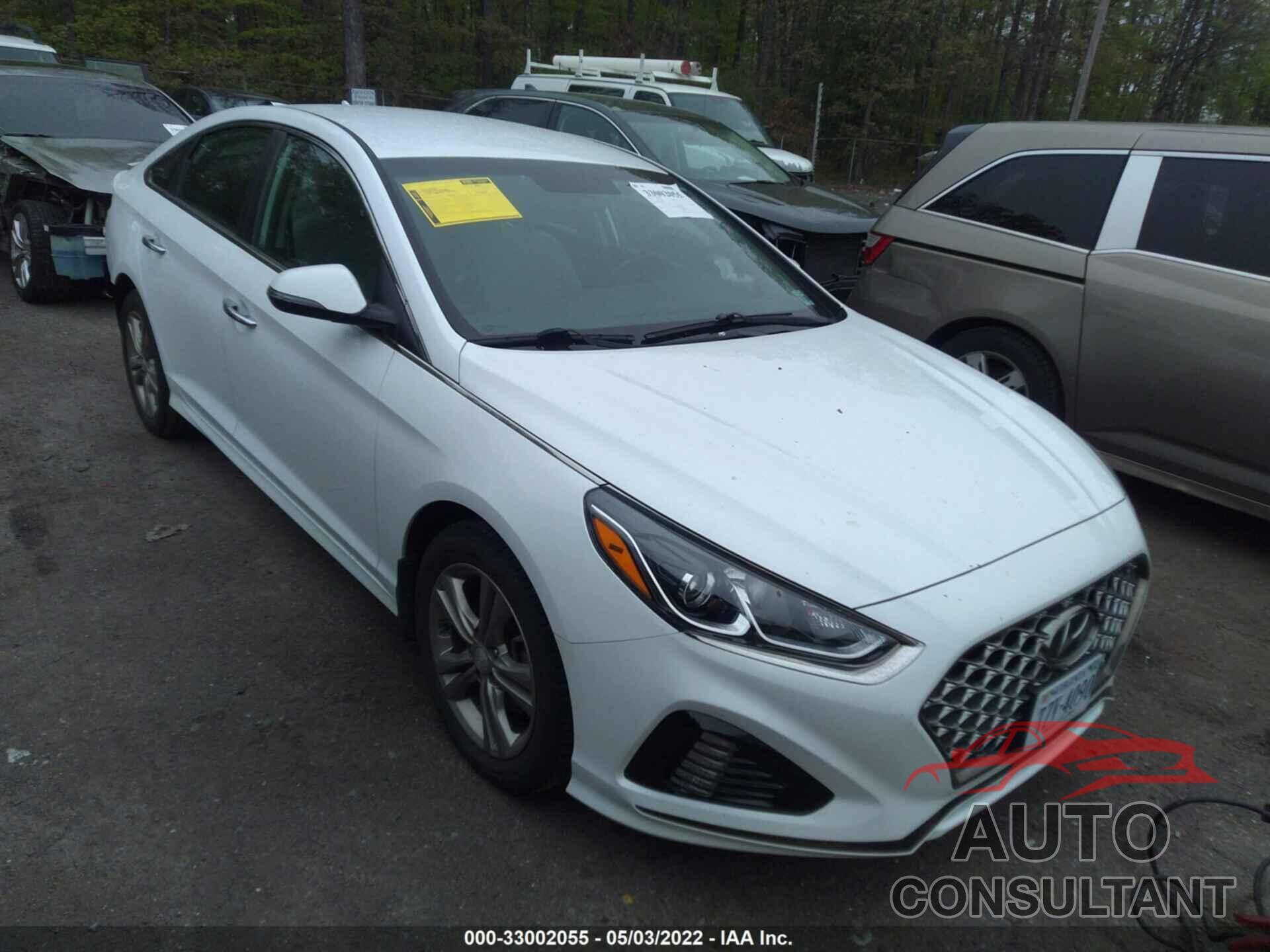 HYUNDAI SONATA 2019 - 5NPE34AF3KH815855