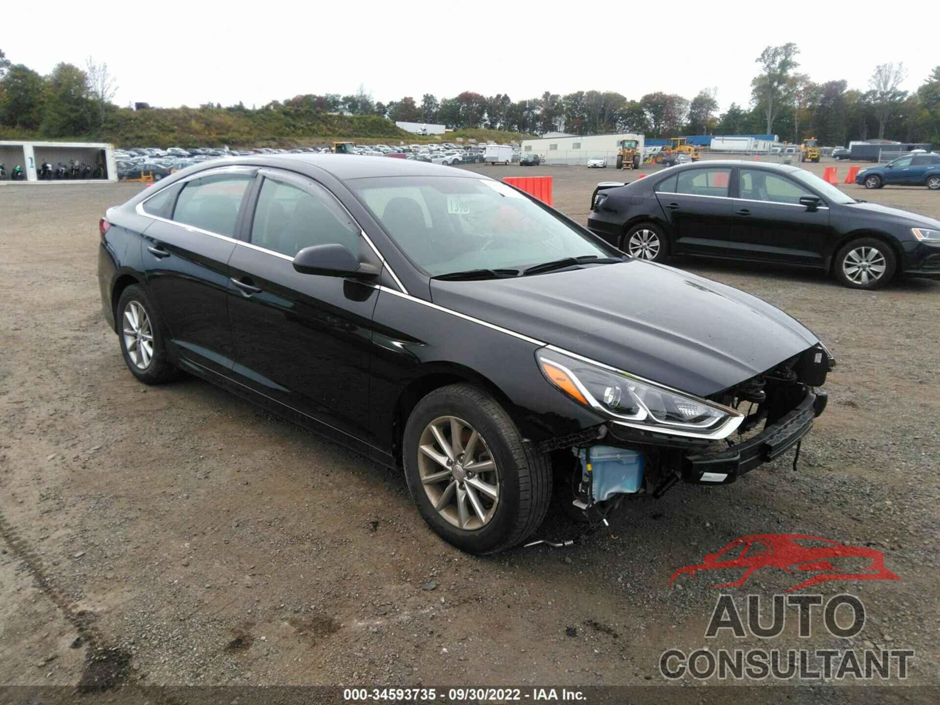 HYUNDAI SONATA 2019 - 5NPE24AFXKH802992