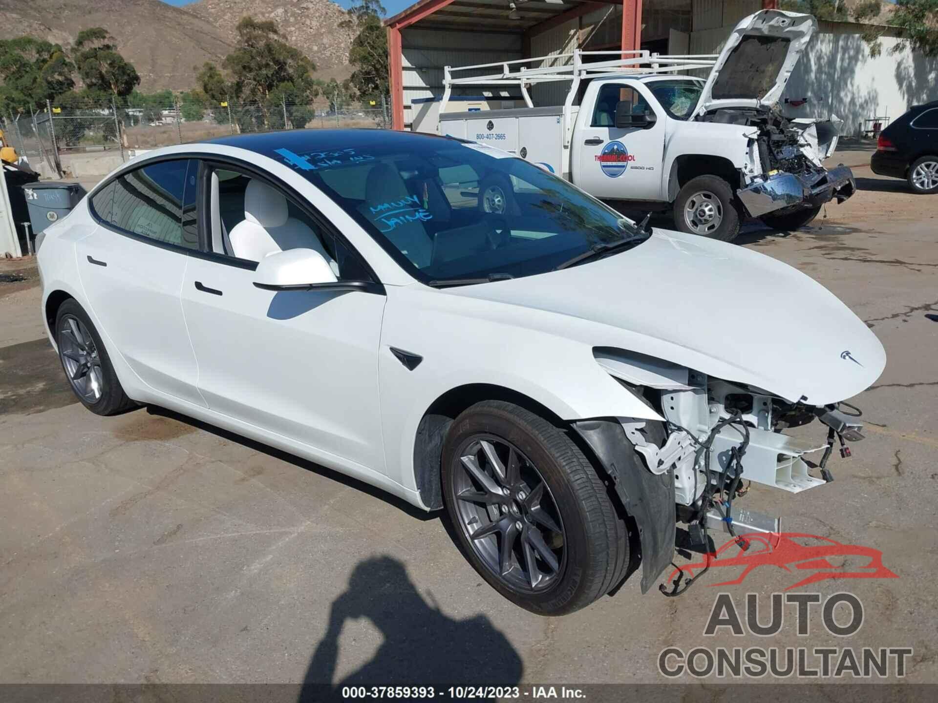 TESLA MODEL 3 2021 - 5YJ3E1EA1MF067283