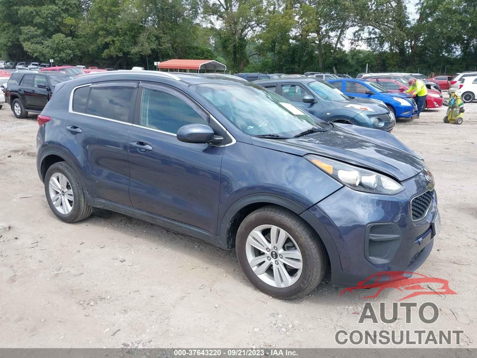 KIA SPORTAGE 2017 - KNDPM3AC5H7267053