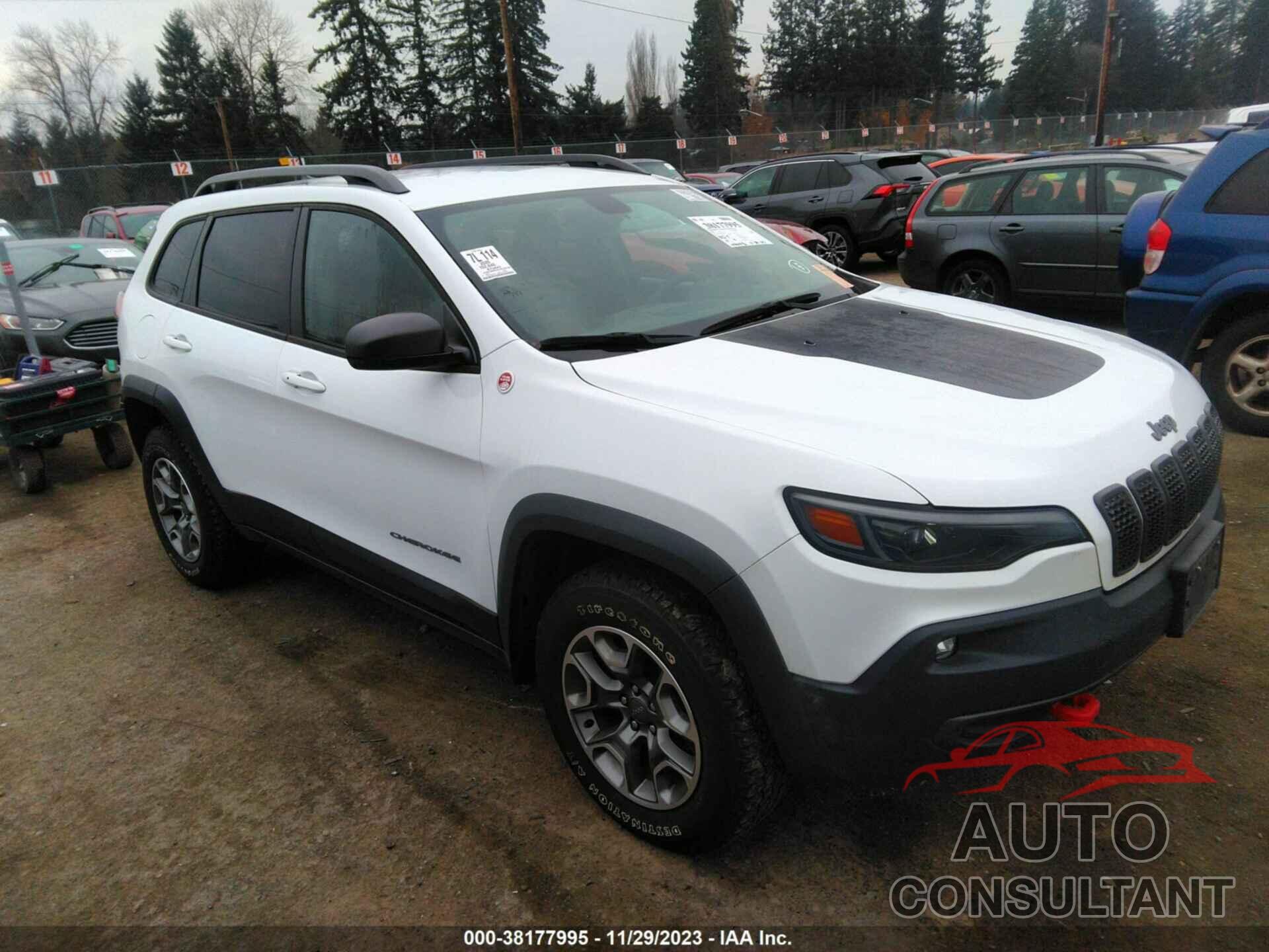 JEEP CHEROKEE 2020 - 1C4PJMBX4LD579133