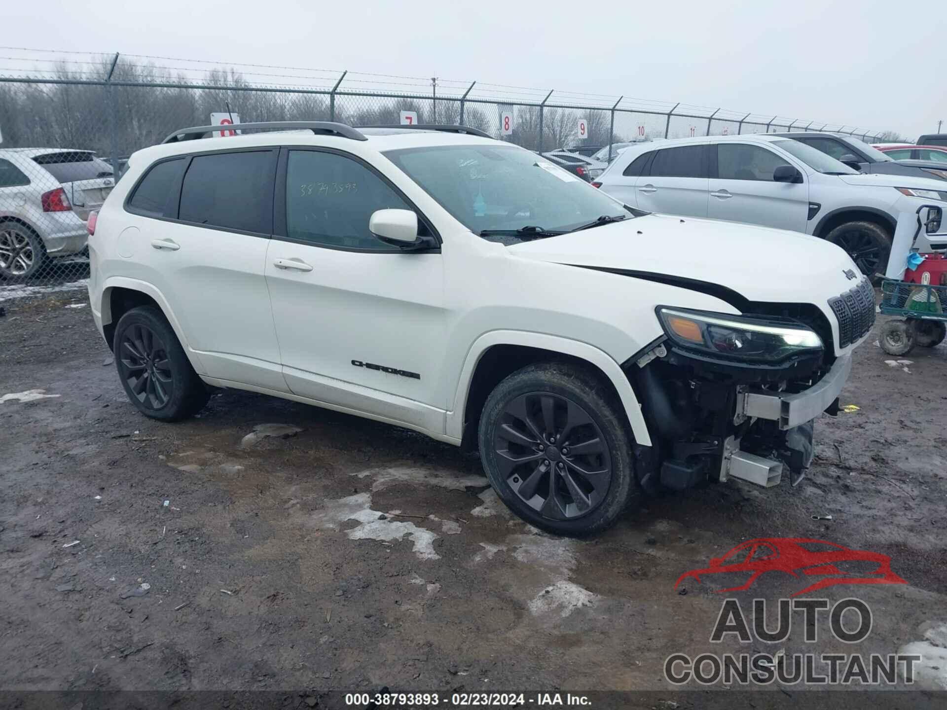 JEEP CHEROKEE 2019 - 1C4PJMDX1KD451783