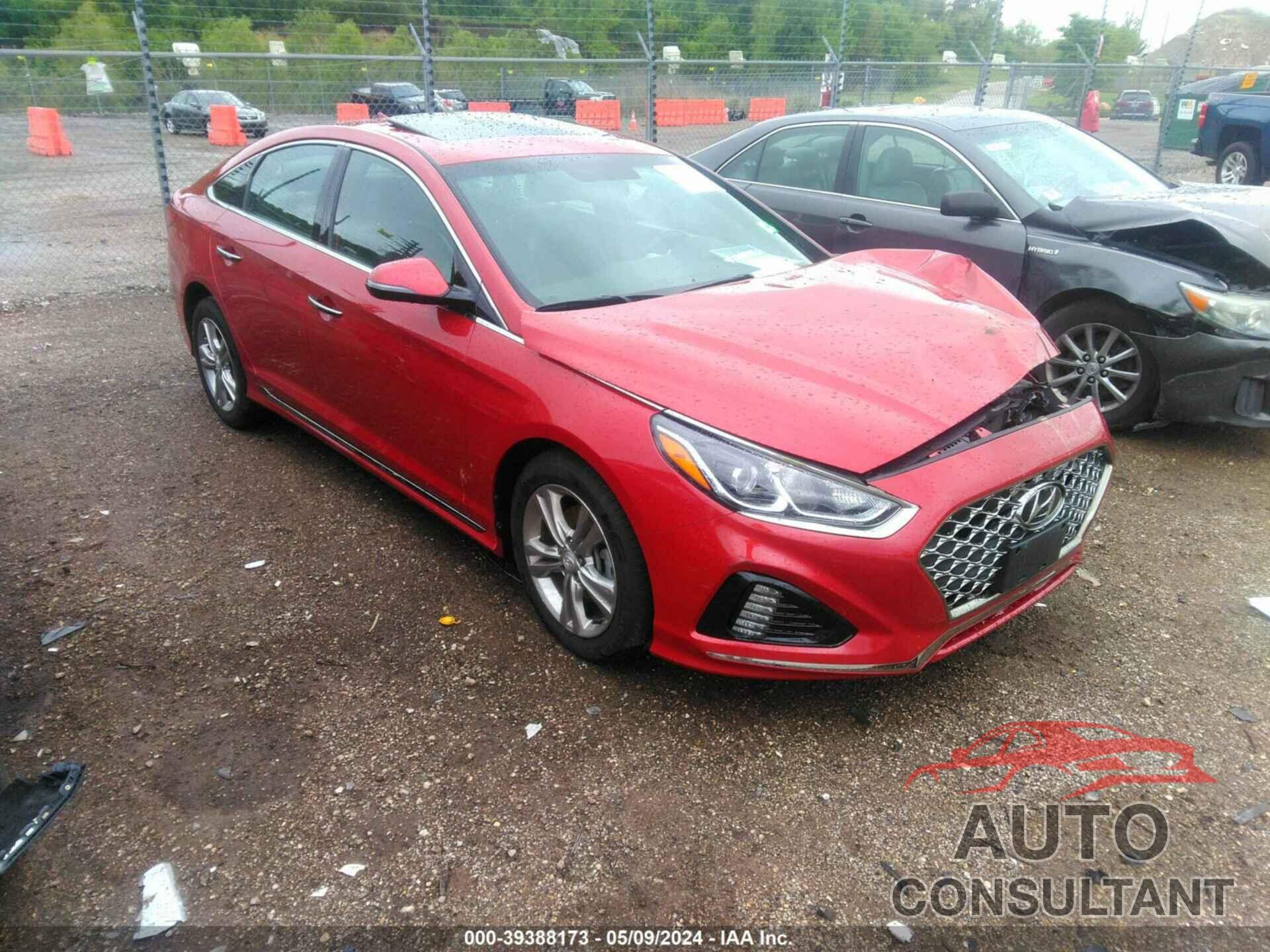 HYUNDAI SONATA 2019 - 5NPE34AF2KH811473