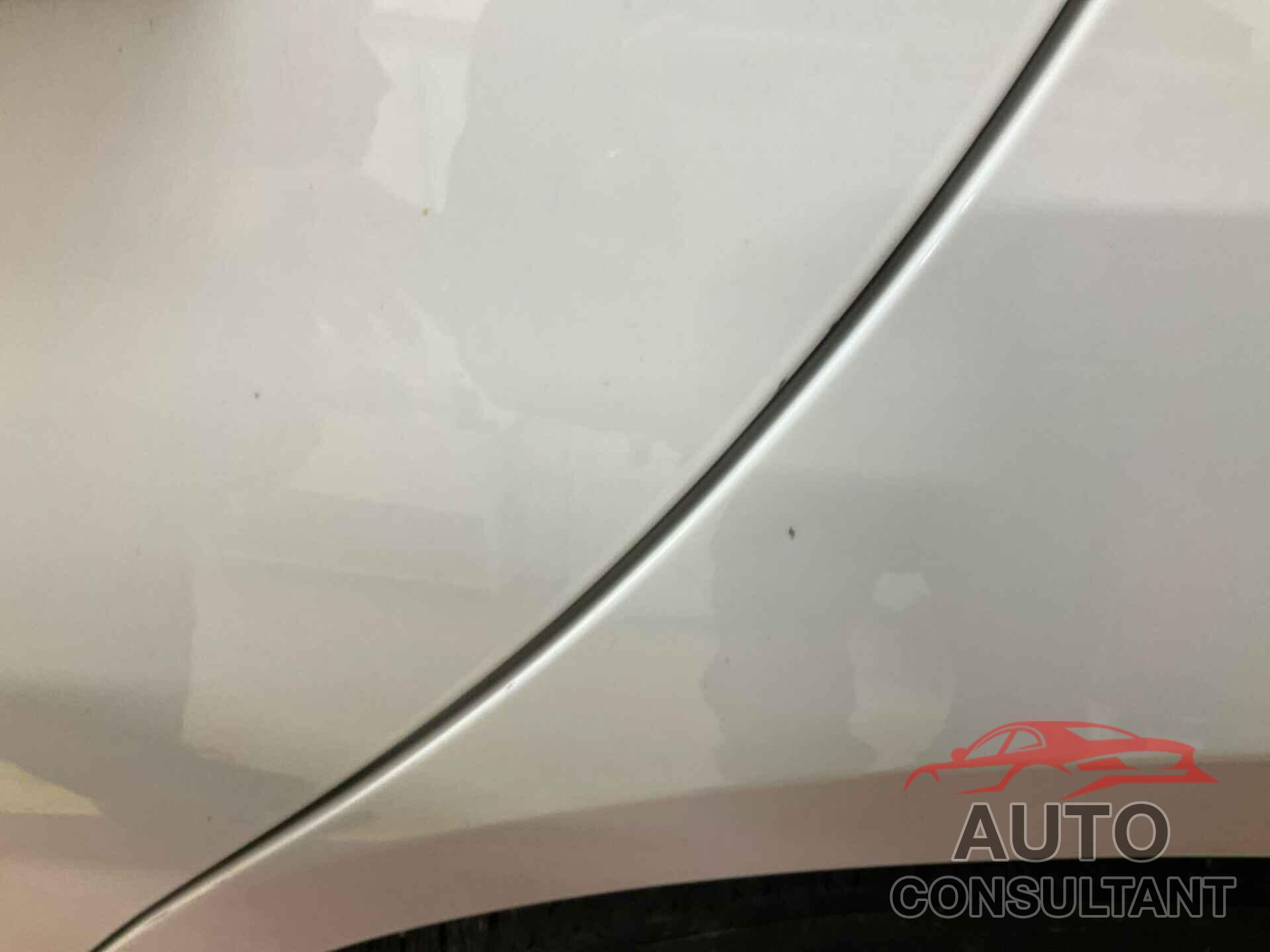 CHEVROLET MALIBU 2019 - 1G1ZD5ST5KF156334