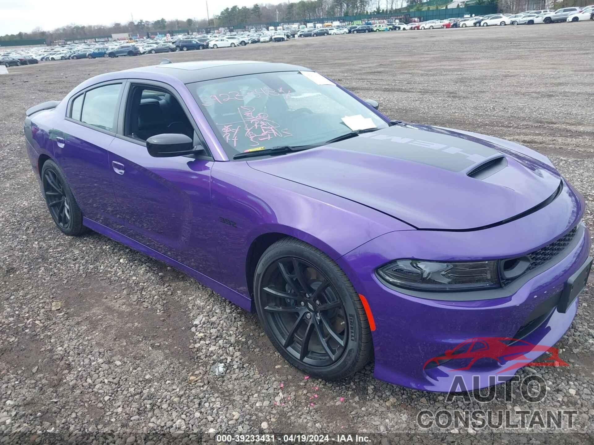 DODGE CHARGER 2023 - 2C3CDXGJXPH690553