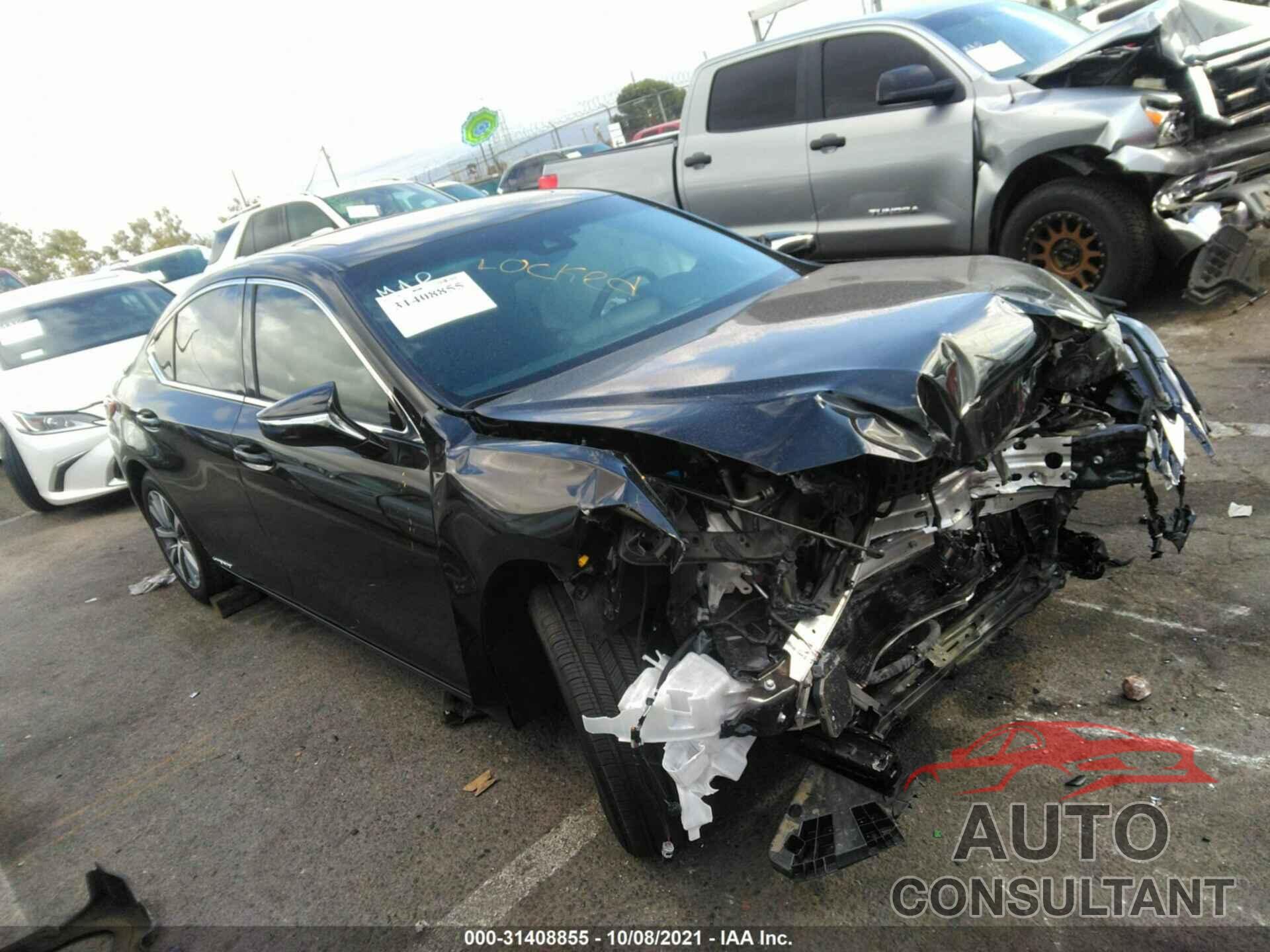 LEXUS ES 2021 - 58ACA1C19MU003616