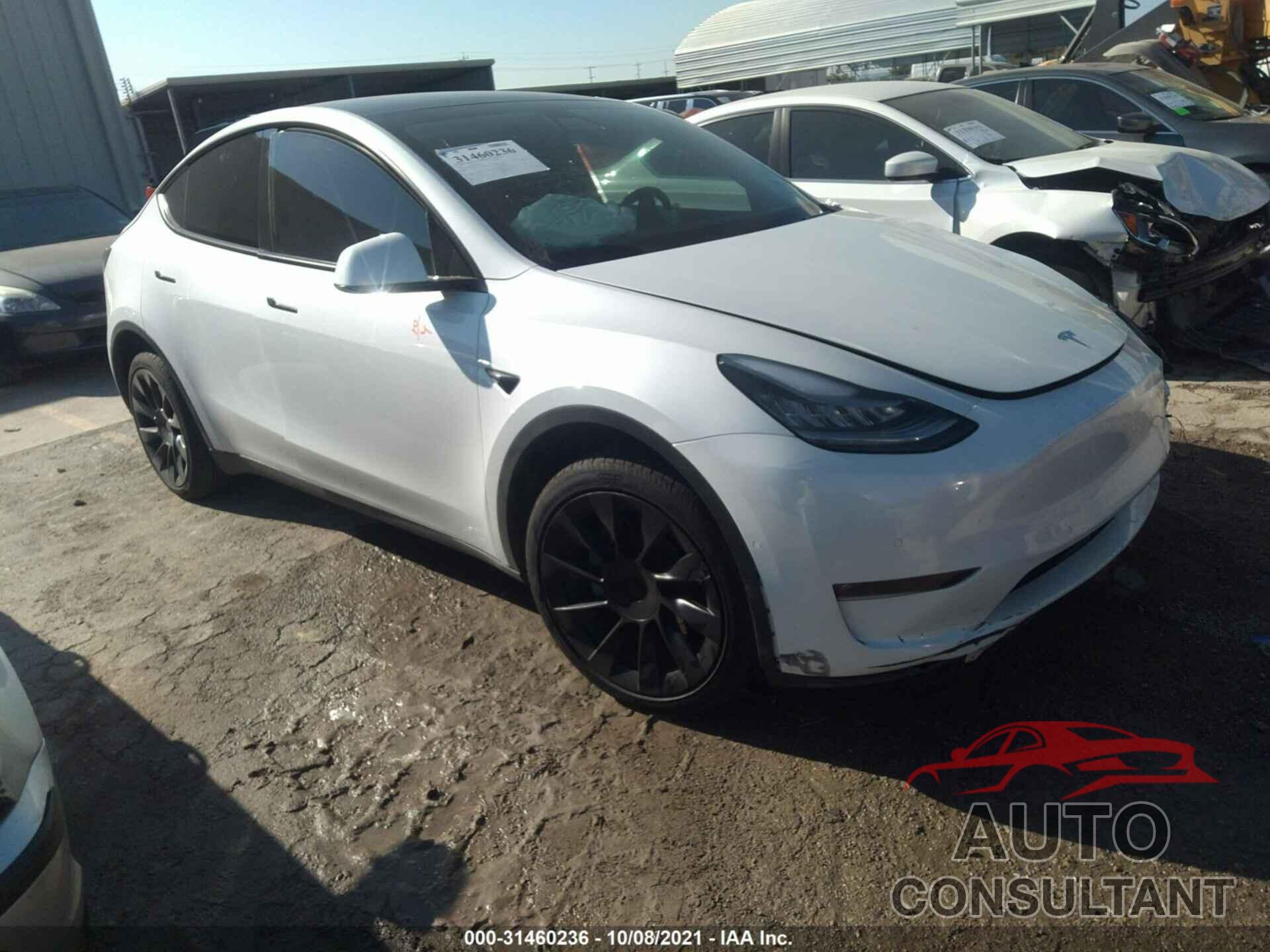 TESLA MODEL Y 2021 - 5YJYGDEE9MF125158
