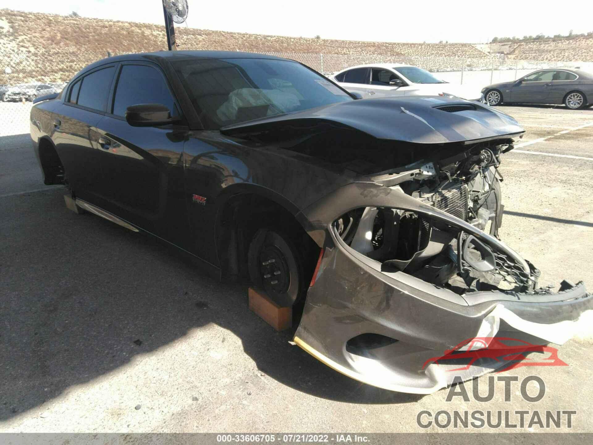 DODGE CHARGER 2020 - 2C3CDXGJ3LH216454
