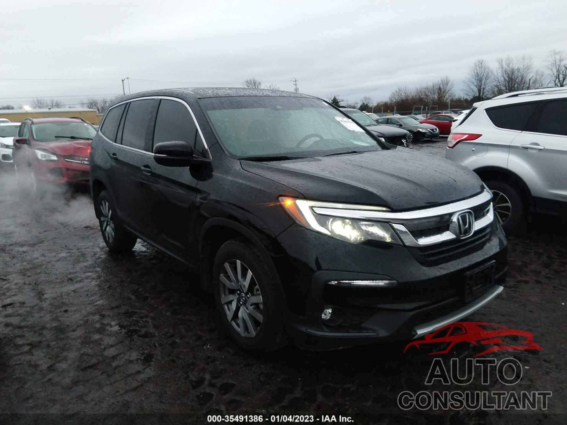 HONDA PILOT 2019 - 5FNYF6H50KB046727