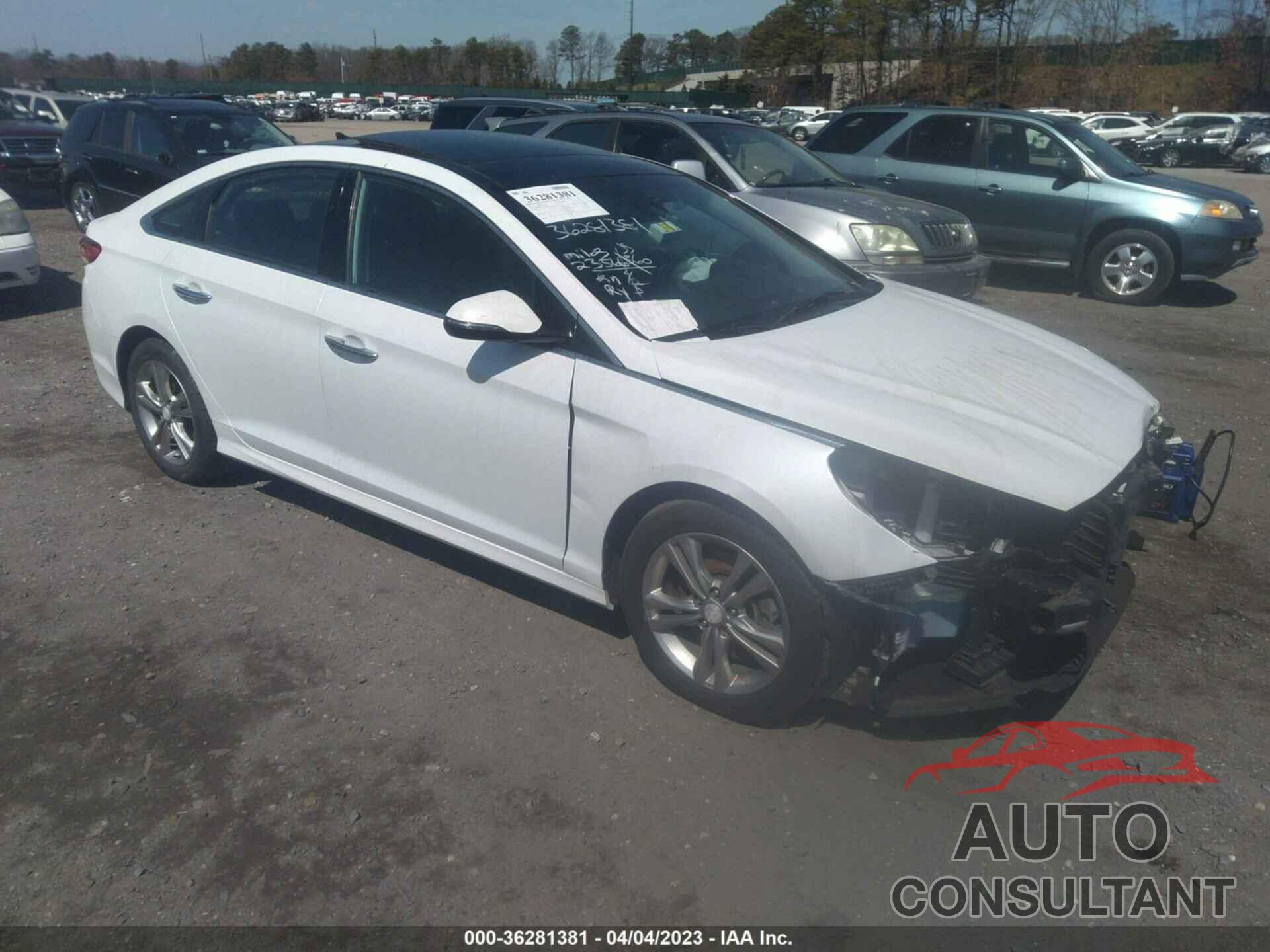 HYUNDAI SONATA 2019 - 5NPE34AF1KH747989