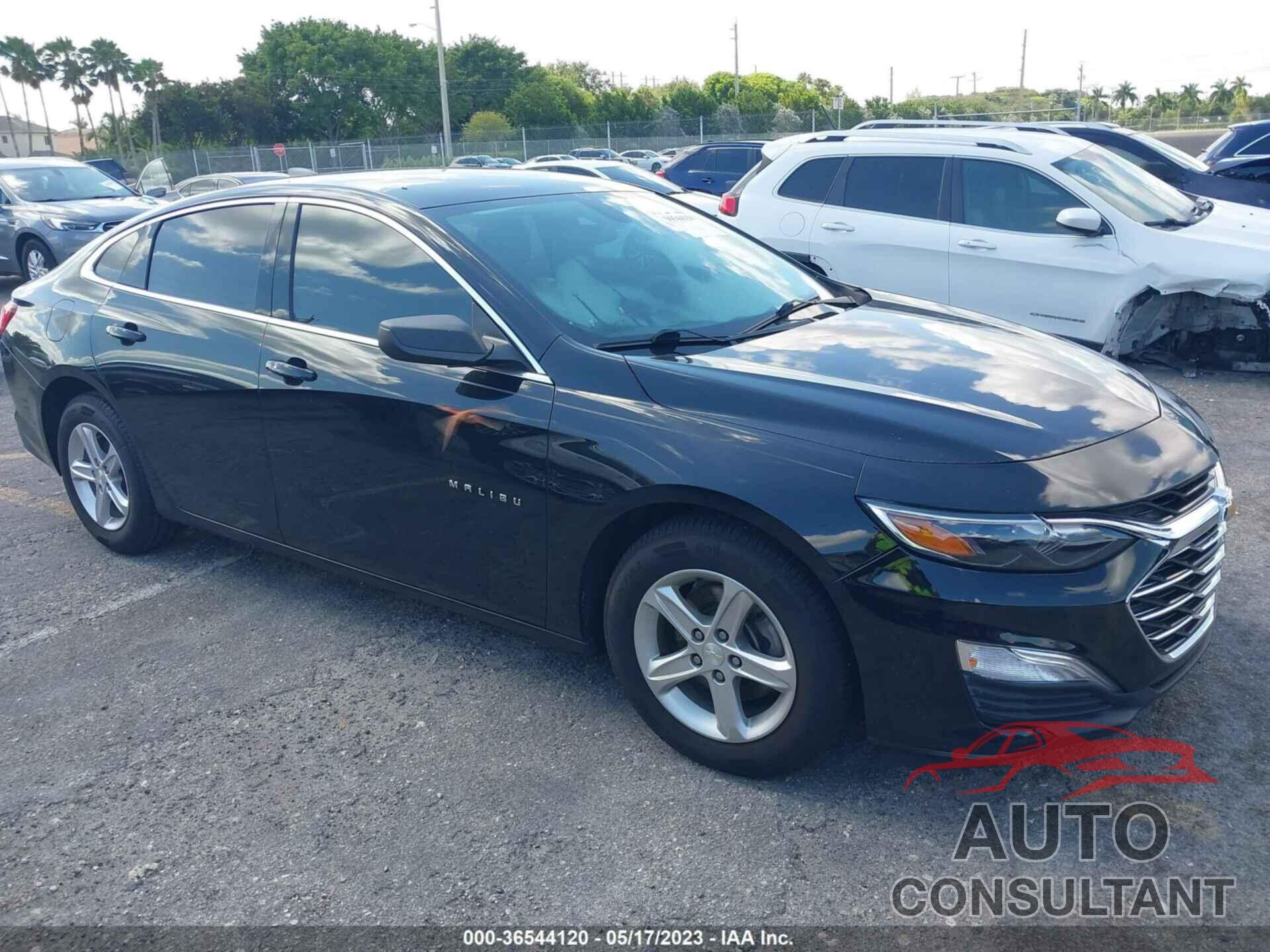 CHEVROLET MALIBU 2019 - 1G1ZB5ST7KF184903