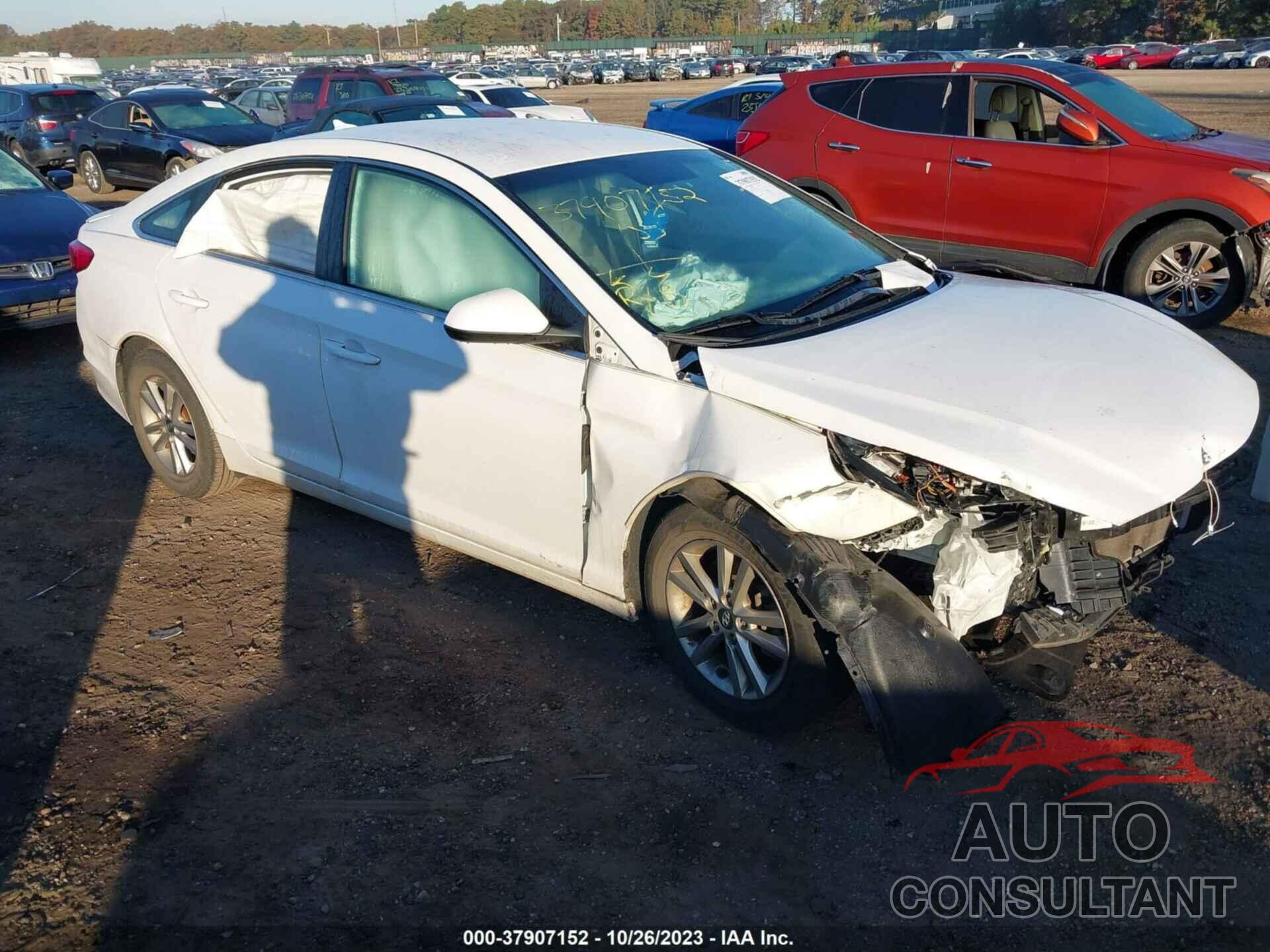 HYUNDAI SONATA 2017 - 5NPE24AF1HH594767