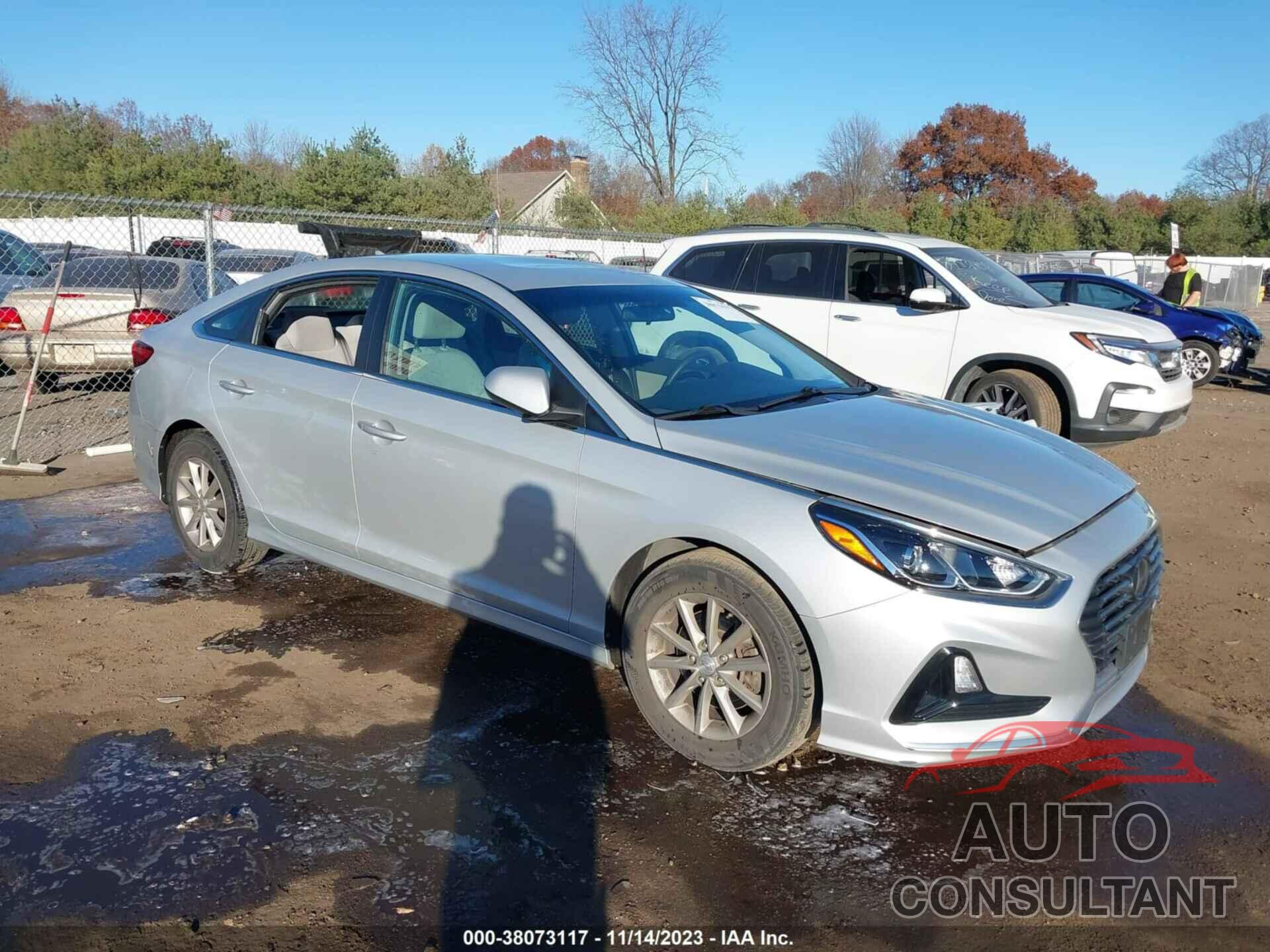 HYUNDAI SONATA 2019 - 5NPE24AF5KH817304