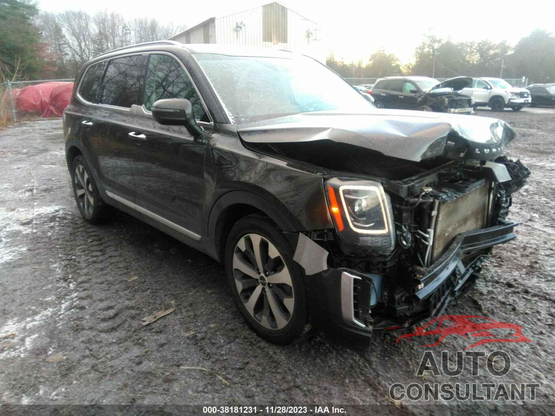 KIA TELLURIDE 2022 - 5XYP6DHCXNG235056