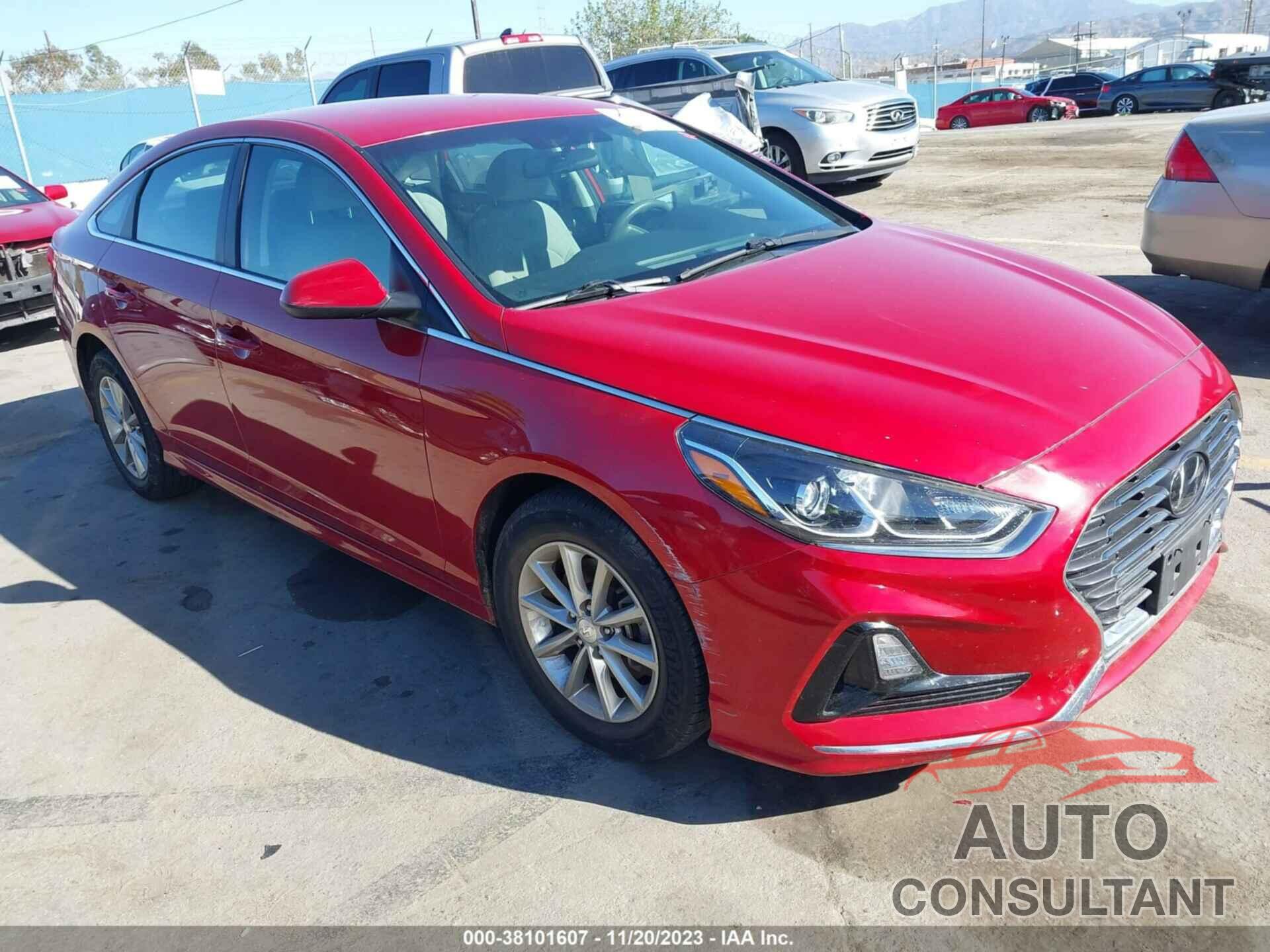 HYUNDAI SONATA 2019 - 5NPE24AFXKH751512