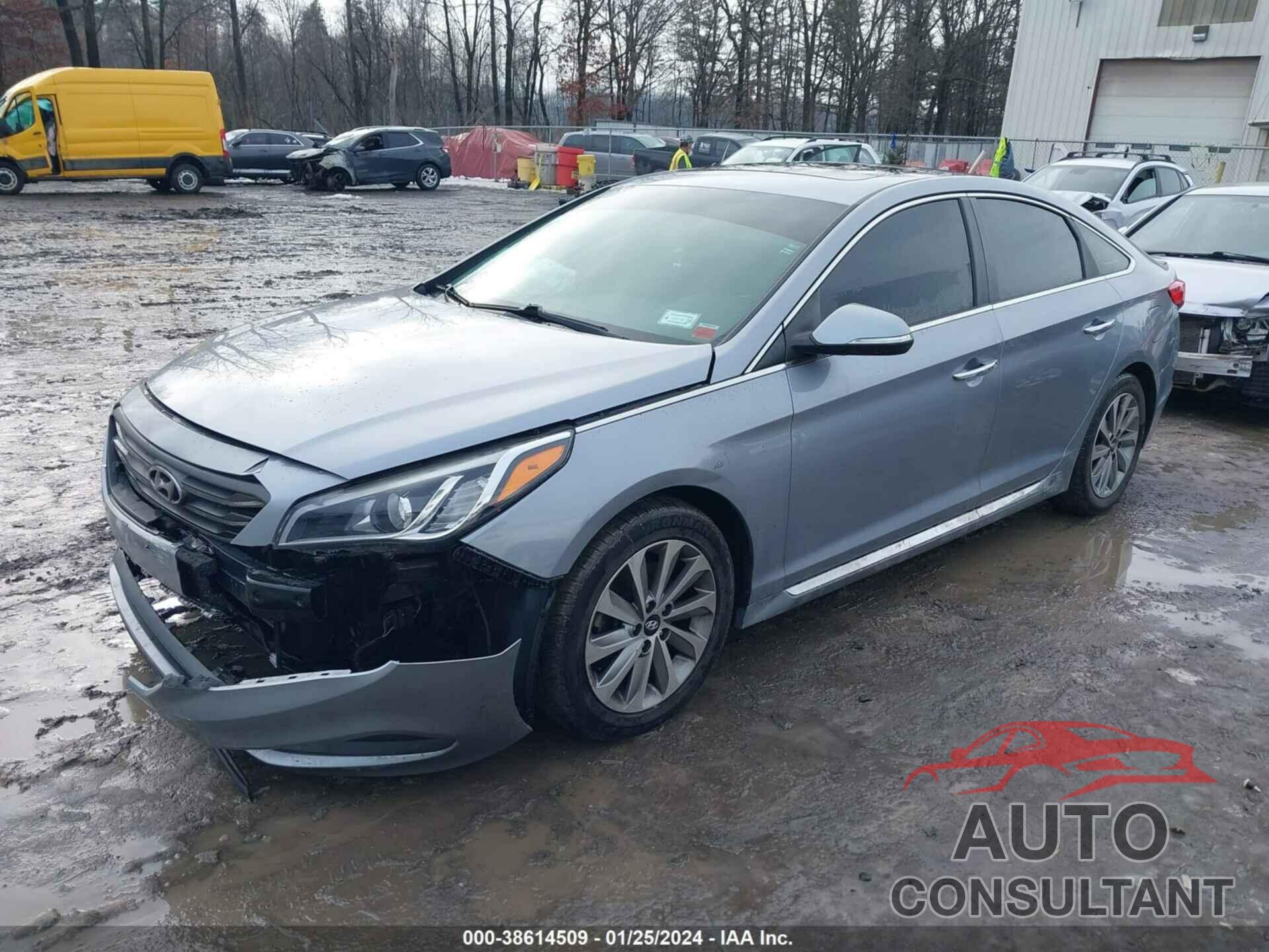 HYUNDAI SONATA 2016 - 5NPE34AF2GH408603