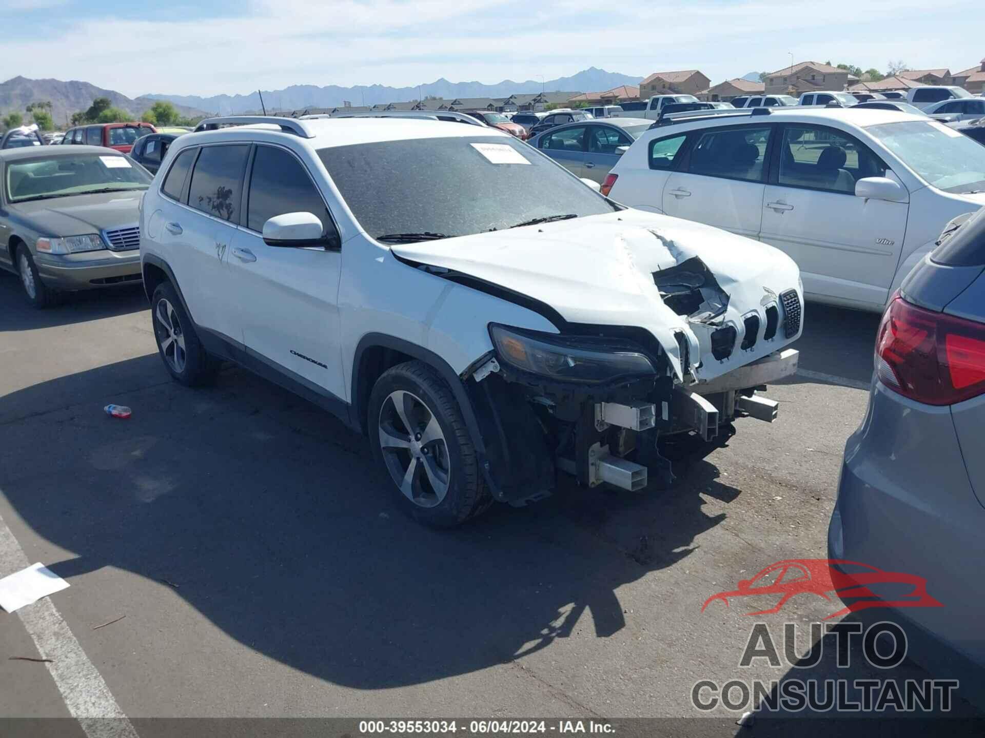 JEEP CHEROKEE 2019 - 1C4PJLDB9KD300415