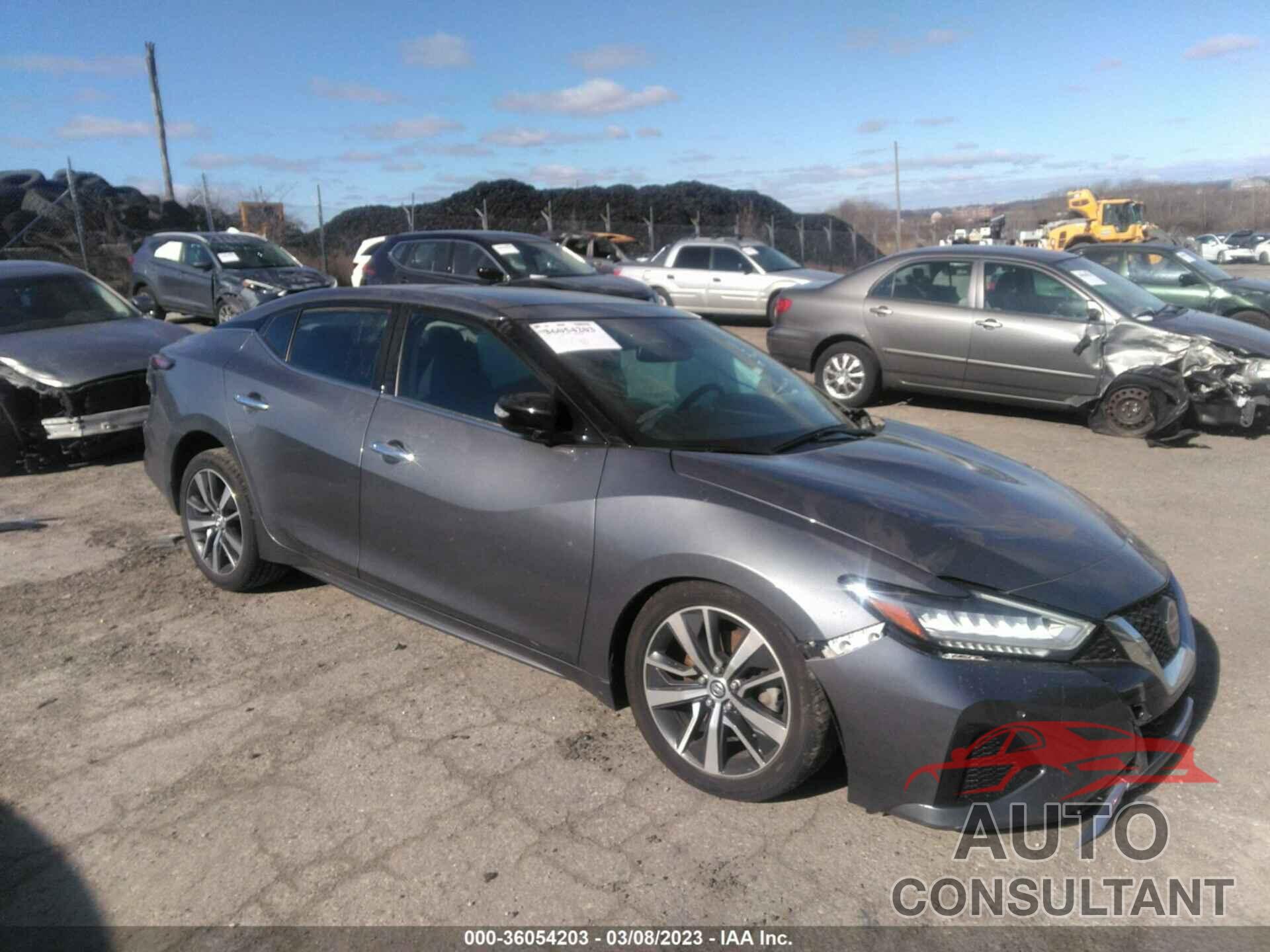 NISSAN MAXIMA 2019 - 1N4AA6AV8KC377259