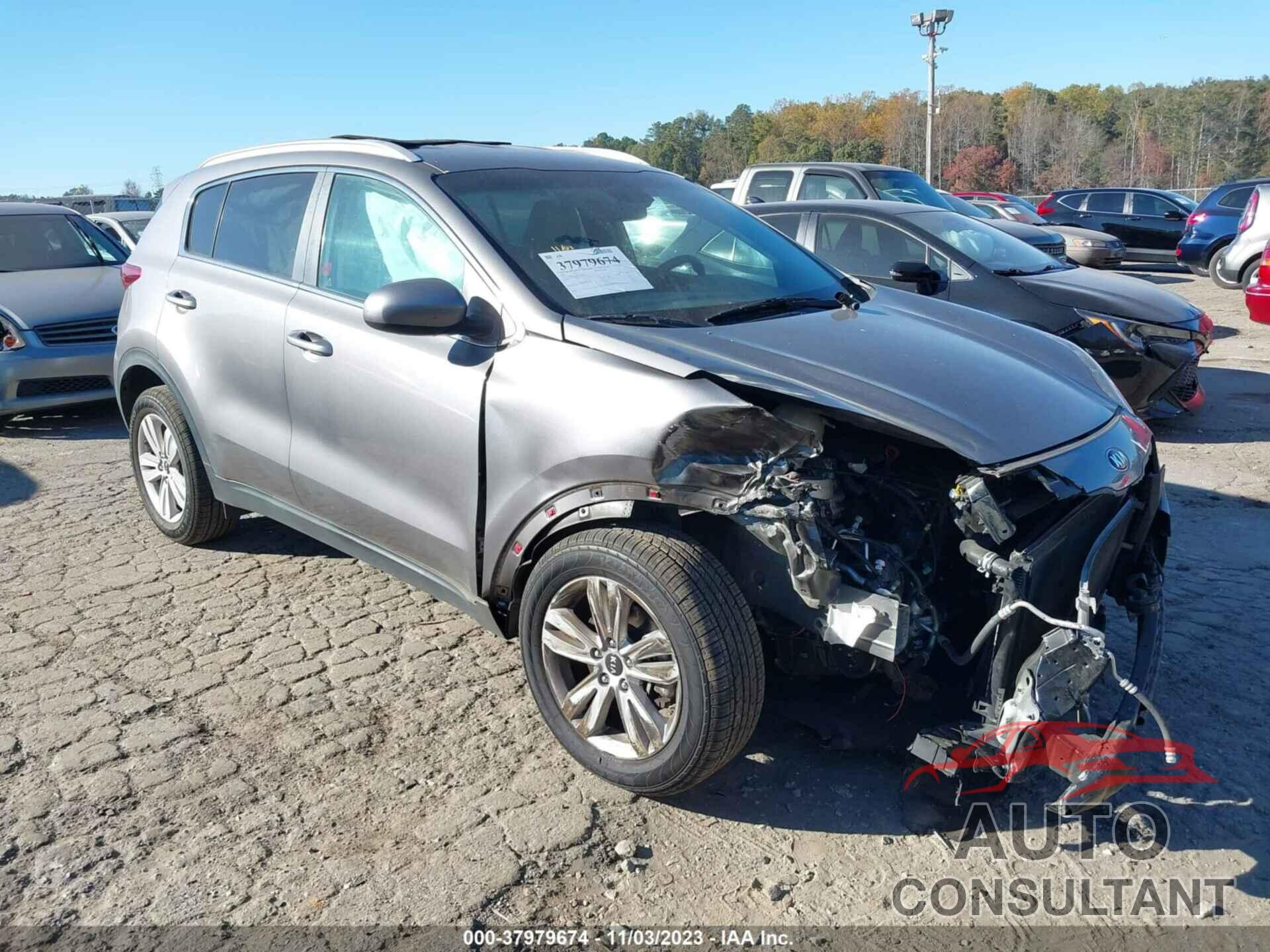 KIA SPORTAGE 2019 - KNDPM3AC3K7495379