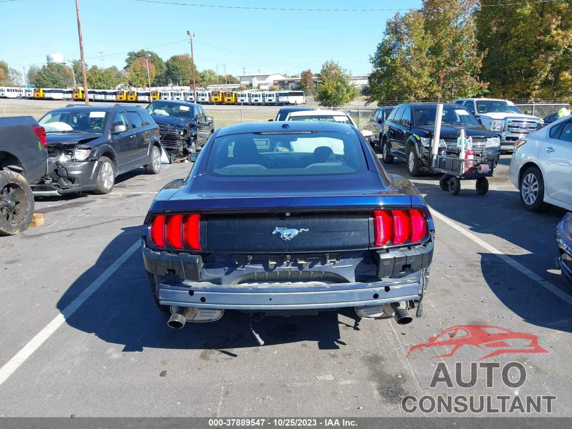 FORD MUSTANG 2019 - 1FA6P8TH1K5111531