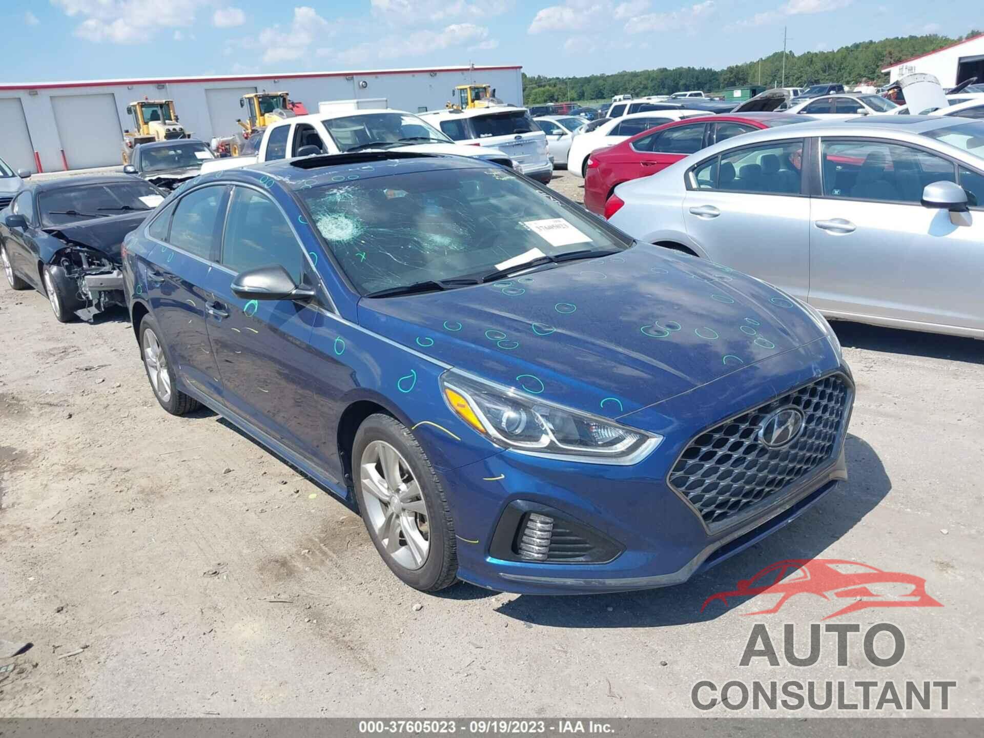 HYUNDAI SONATA 2019 - 5NPE34AF6KH770393