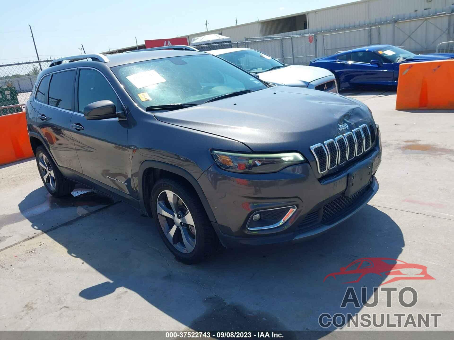 JEEP CHEROKEE 2019 - 1C4PJLDB5KD487944