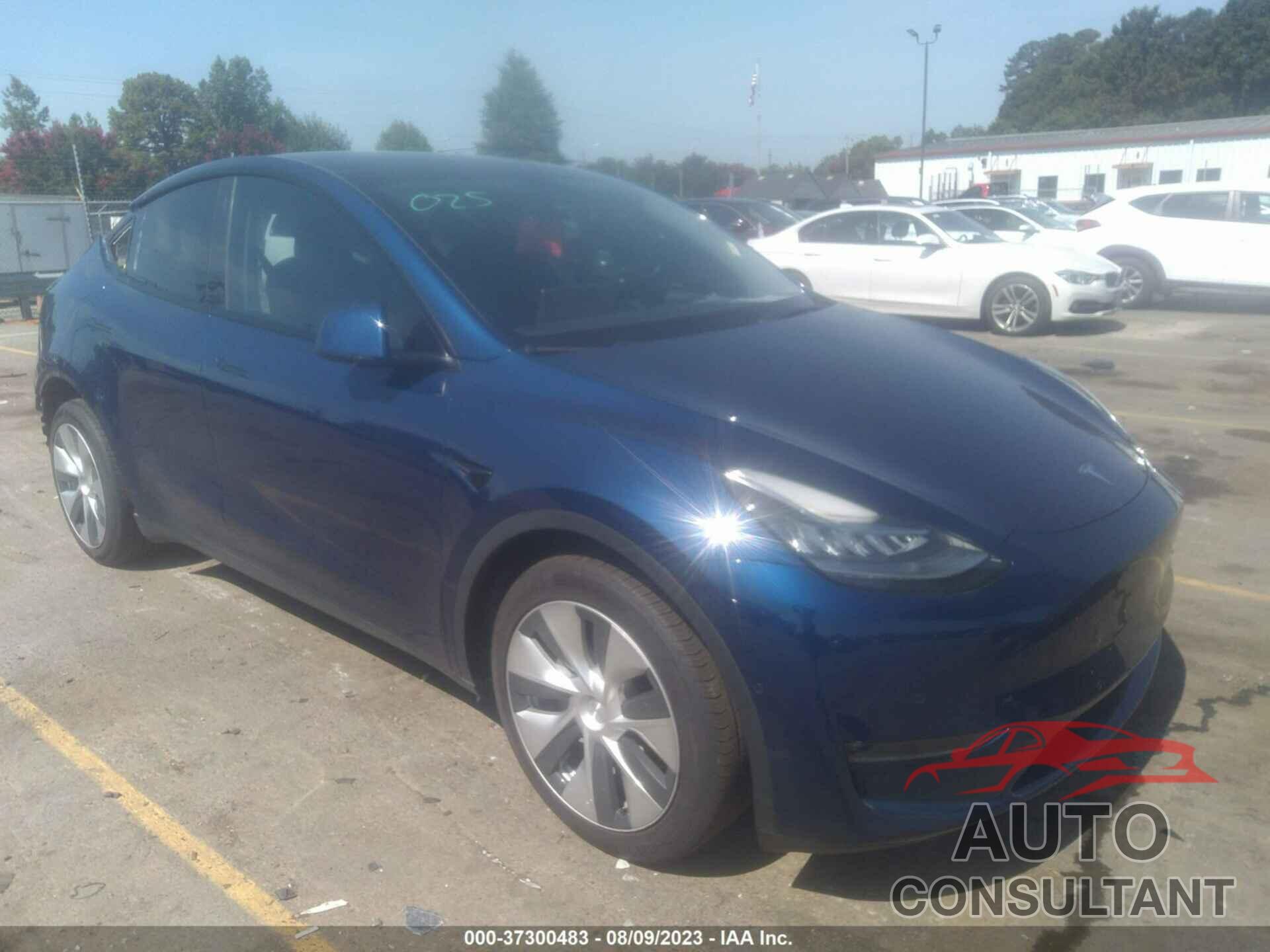 TESLA MODEL Y 2022 - 7SAYGAEE6NF427882