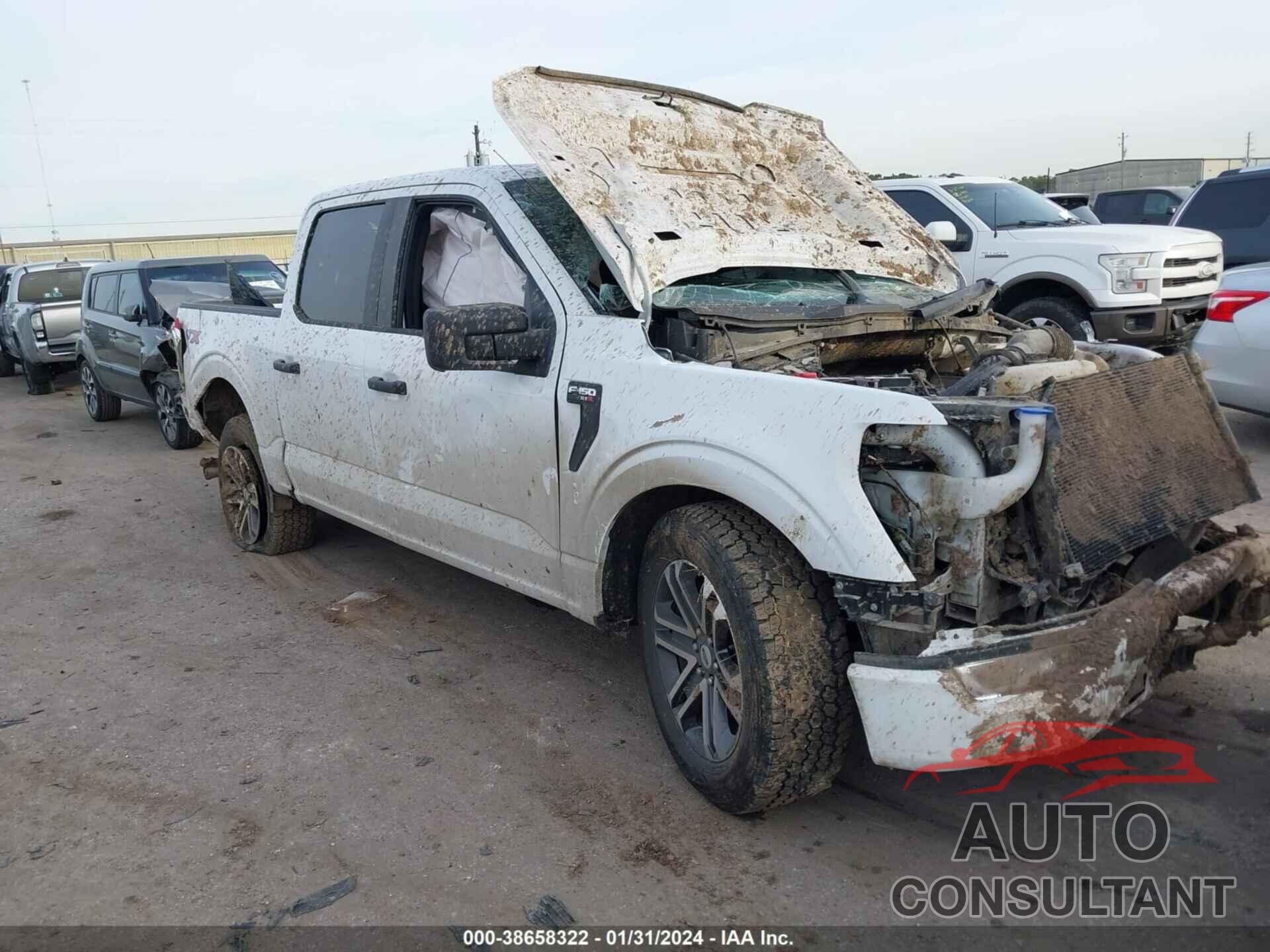 FORD F-150 2021 - 1FTEW1CP8MFA69654