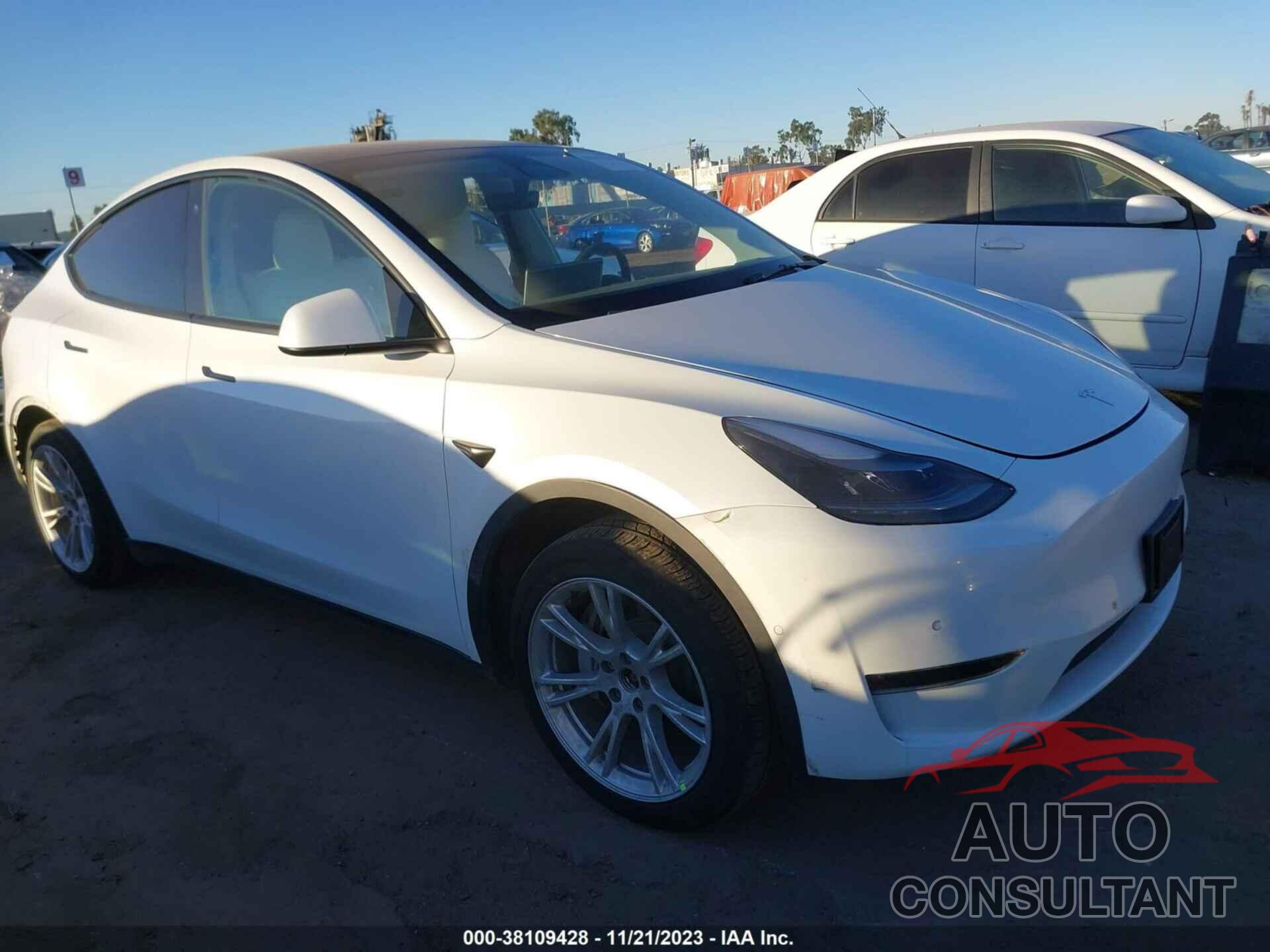 TESLA MODEL Y 2022 - 7SAYGDEE4NF540733