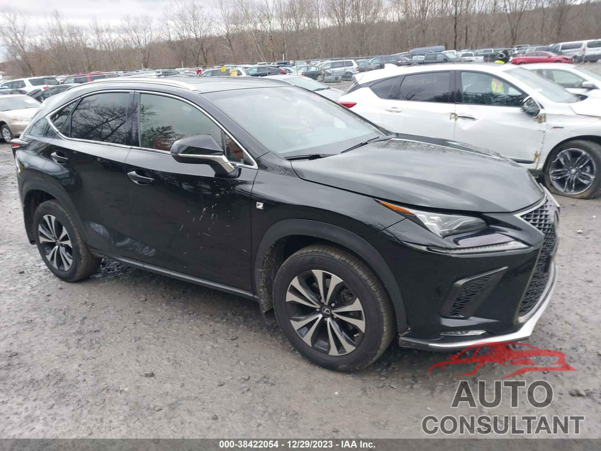 LEXUS NX 300 2019 - JTJBARBZ1K2195617