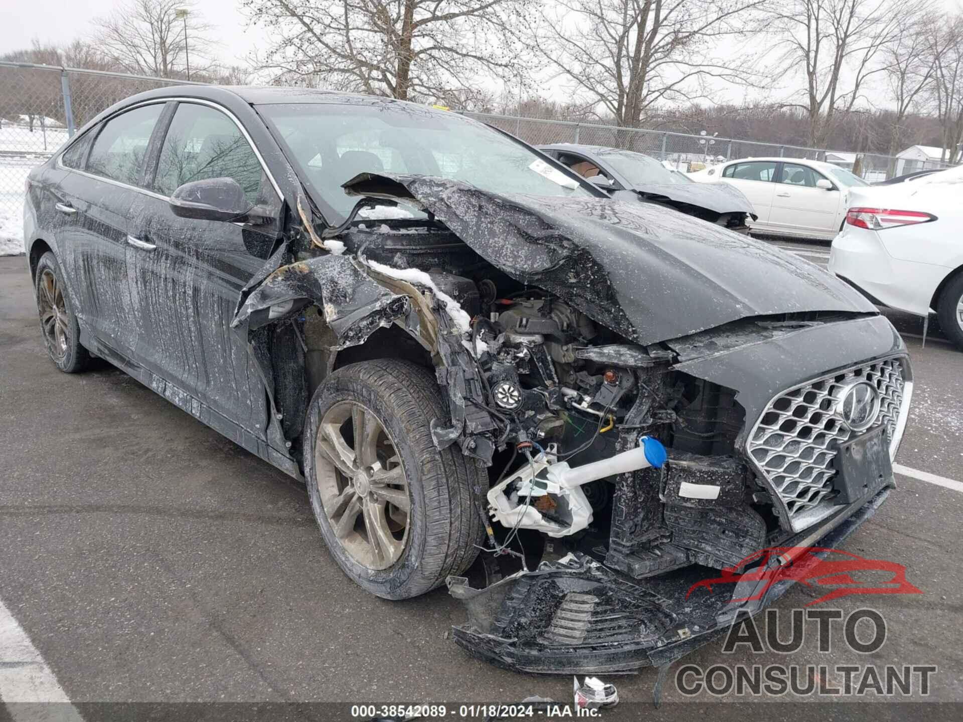 HYUNDAI SONATA 2019 - 5NPE34AF8KH821313