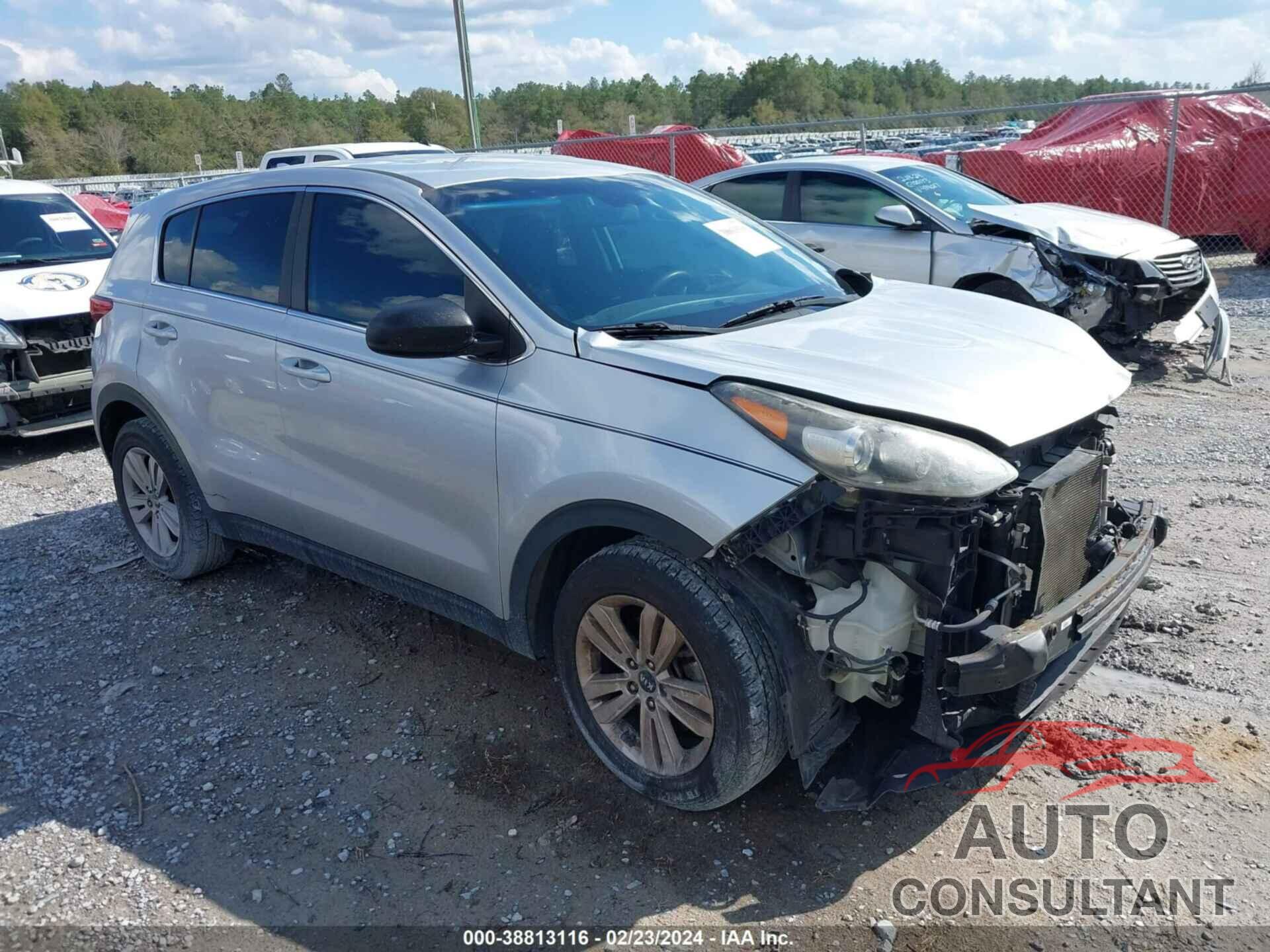 KIA SPORTAGE 2017 - KNDPM3AC8H7077554