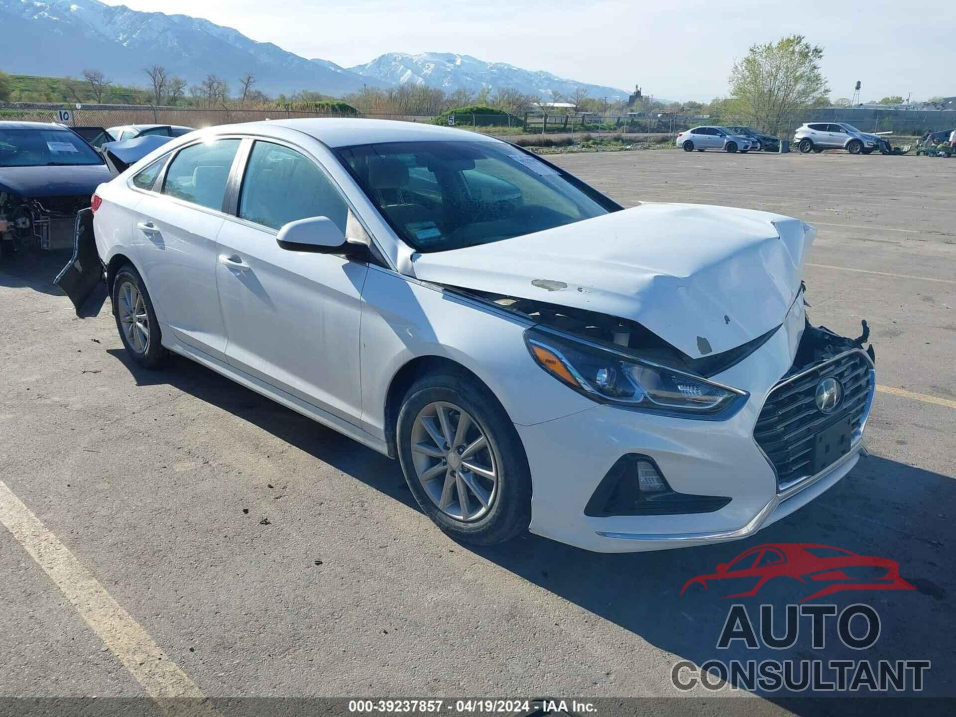 HYUNDAI SONATA 2019 - 5NPE24AF3KH795111