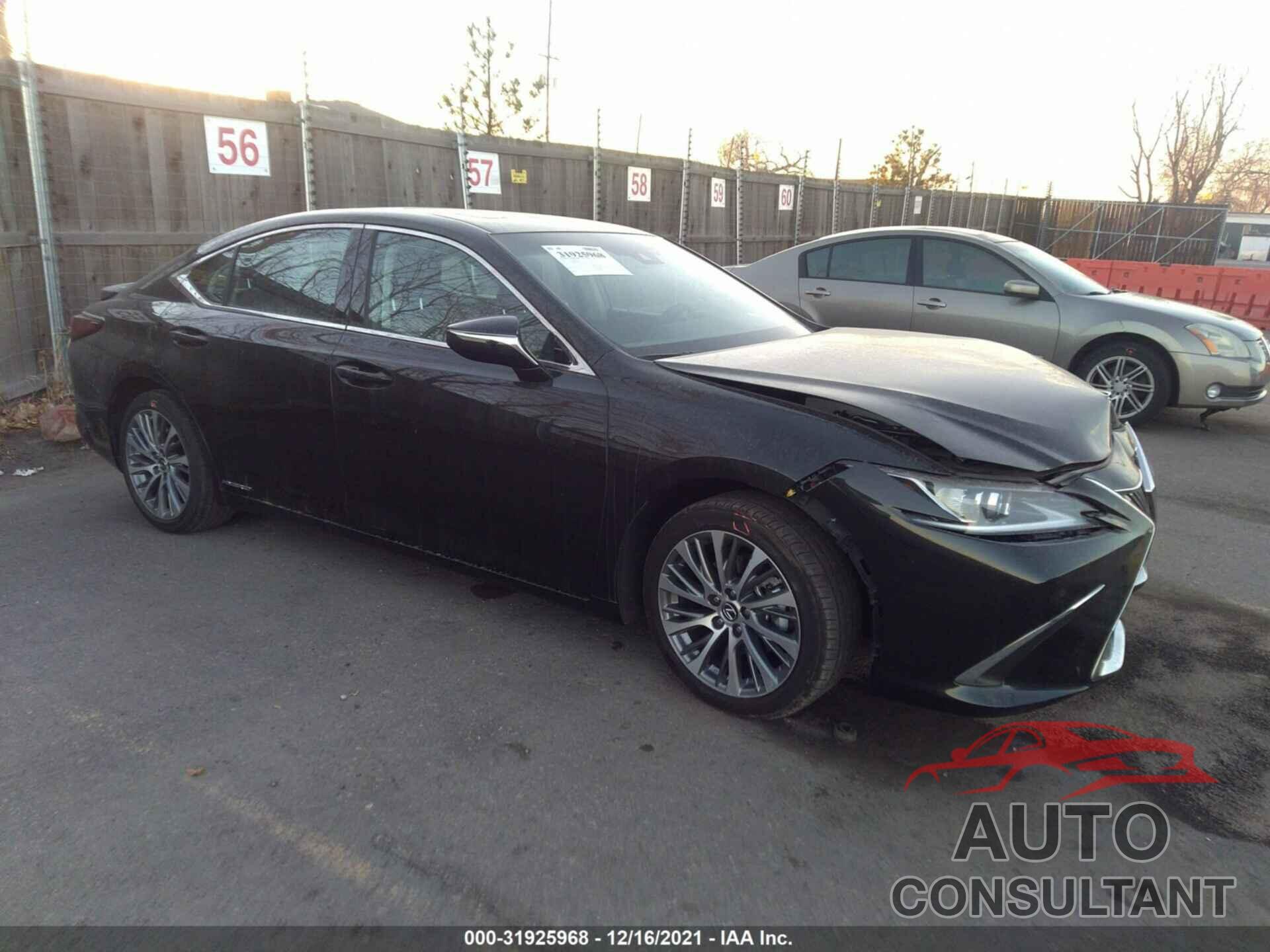 LEXUS ES 2021 - 58ADA1C19MU003586