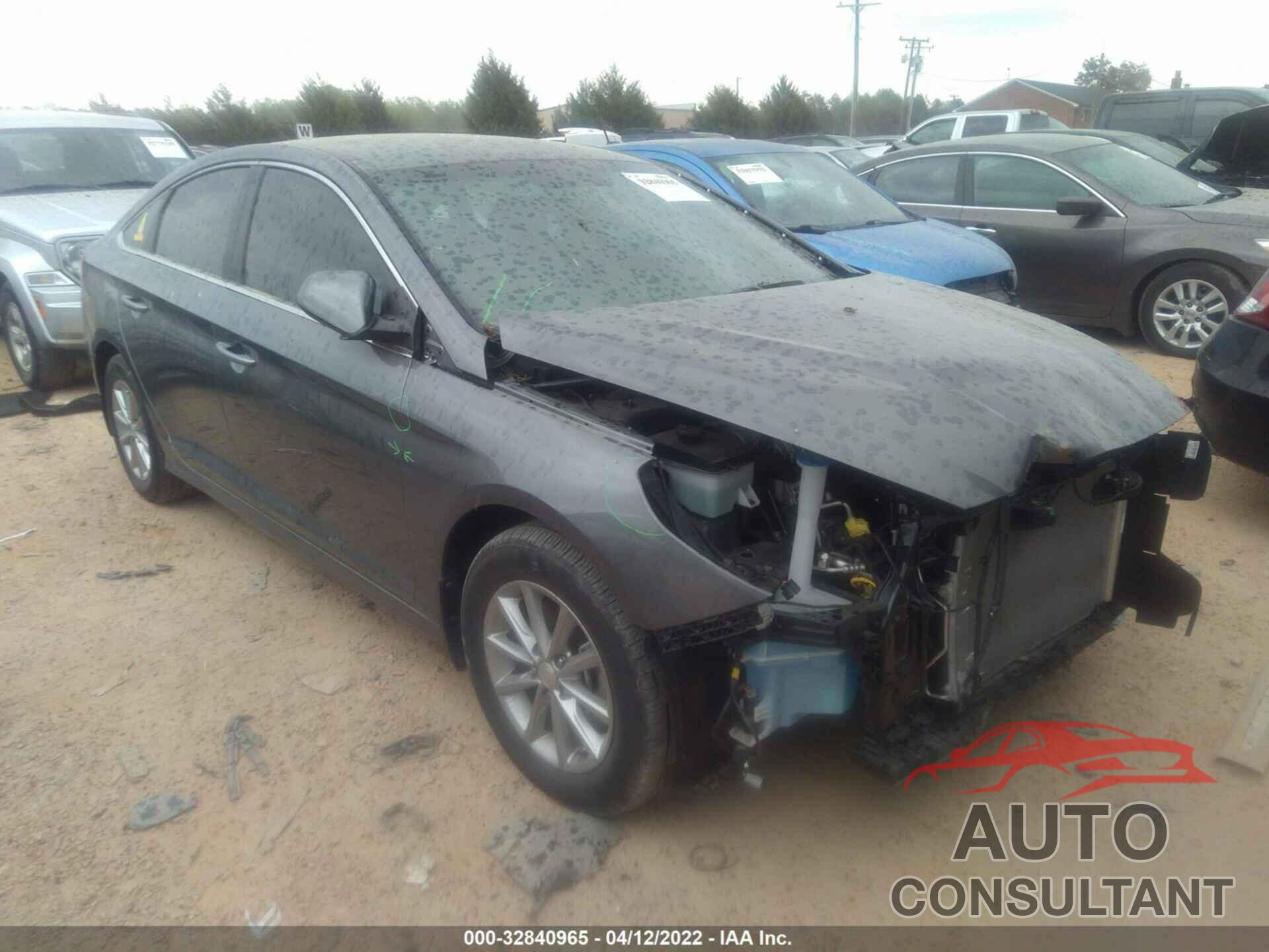 HYUNDAI SONATA 2019 - 5NPE24AF9KH796554