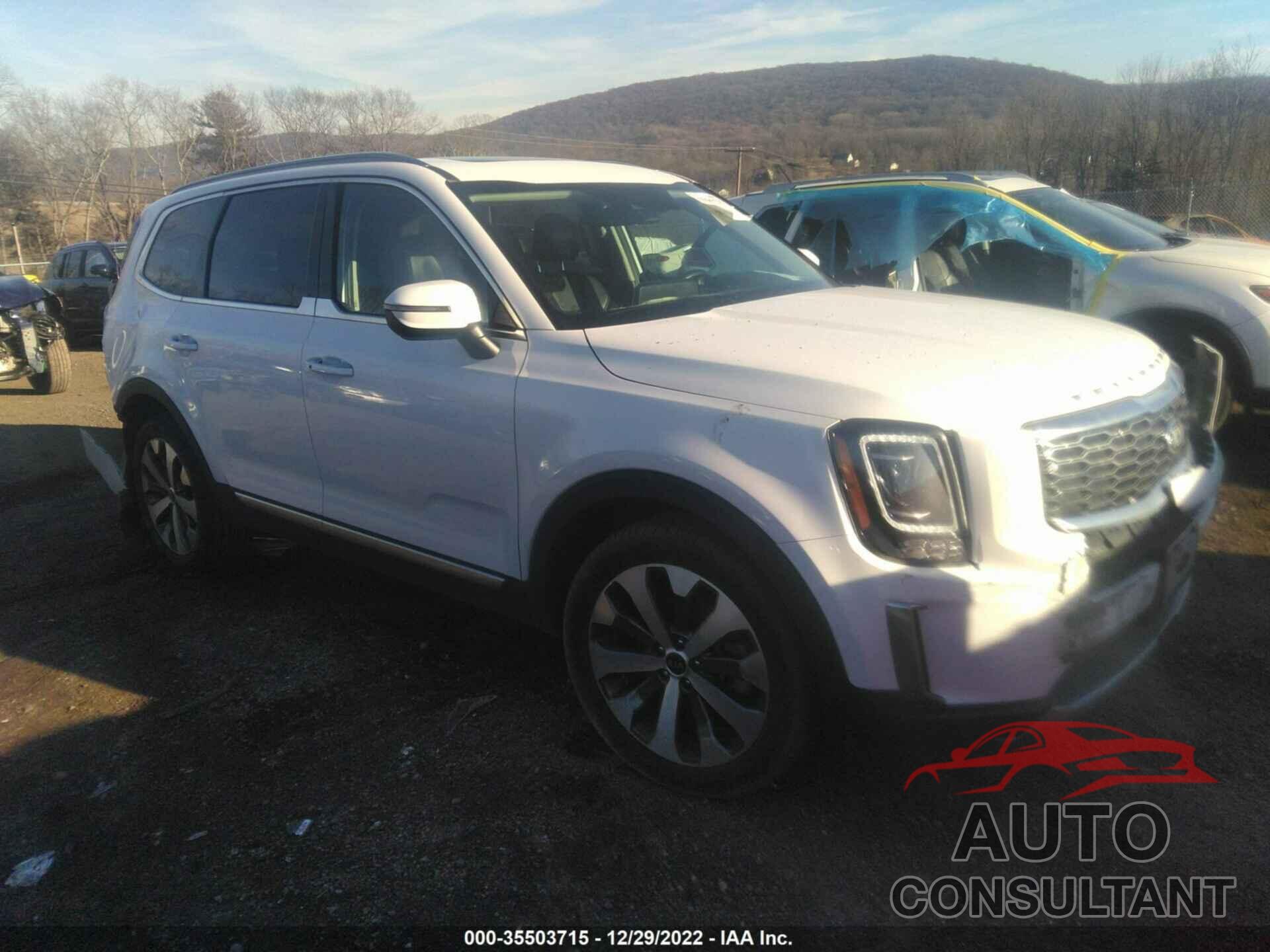 KIA TELLURIDE 2021 - 5XYP6DHC4MG138627