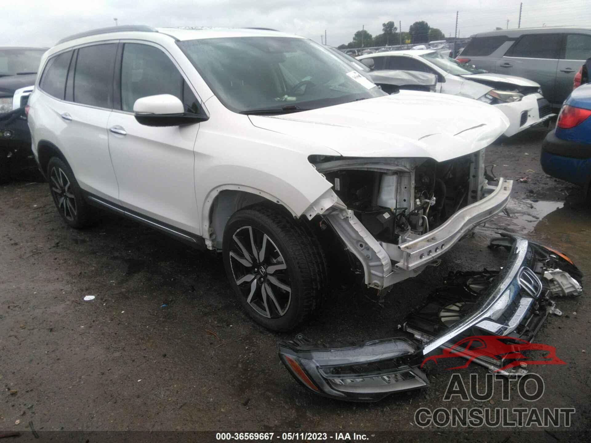 HONDA PILOT 2019 - 5FNYF6H04KB068315