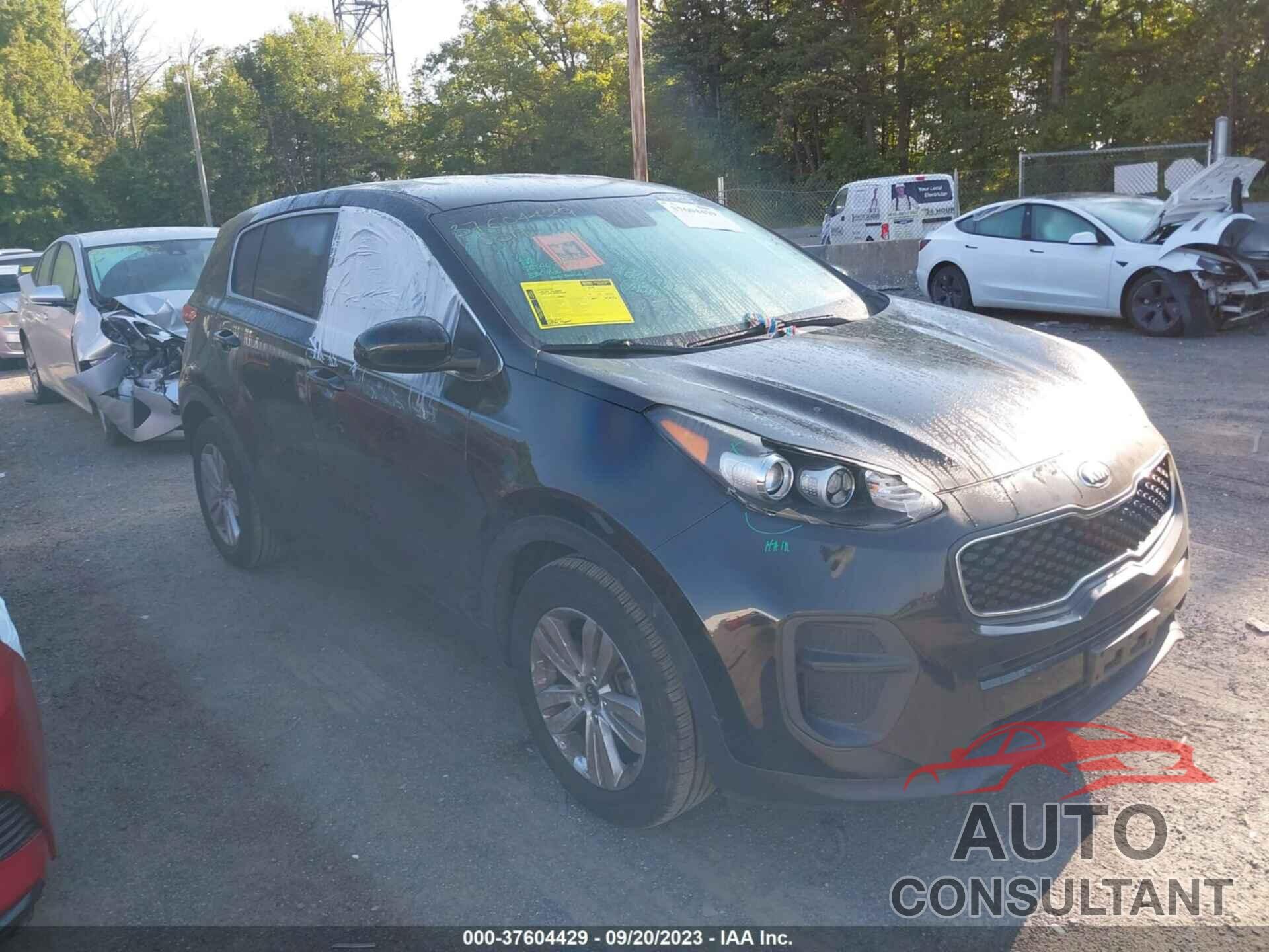 KIA SPORTAGE 2017 - KNDPM3ACXH7126608