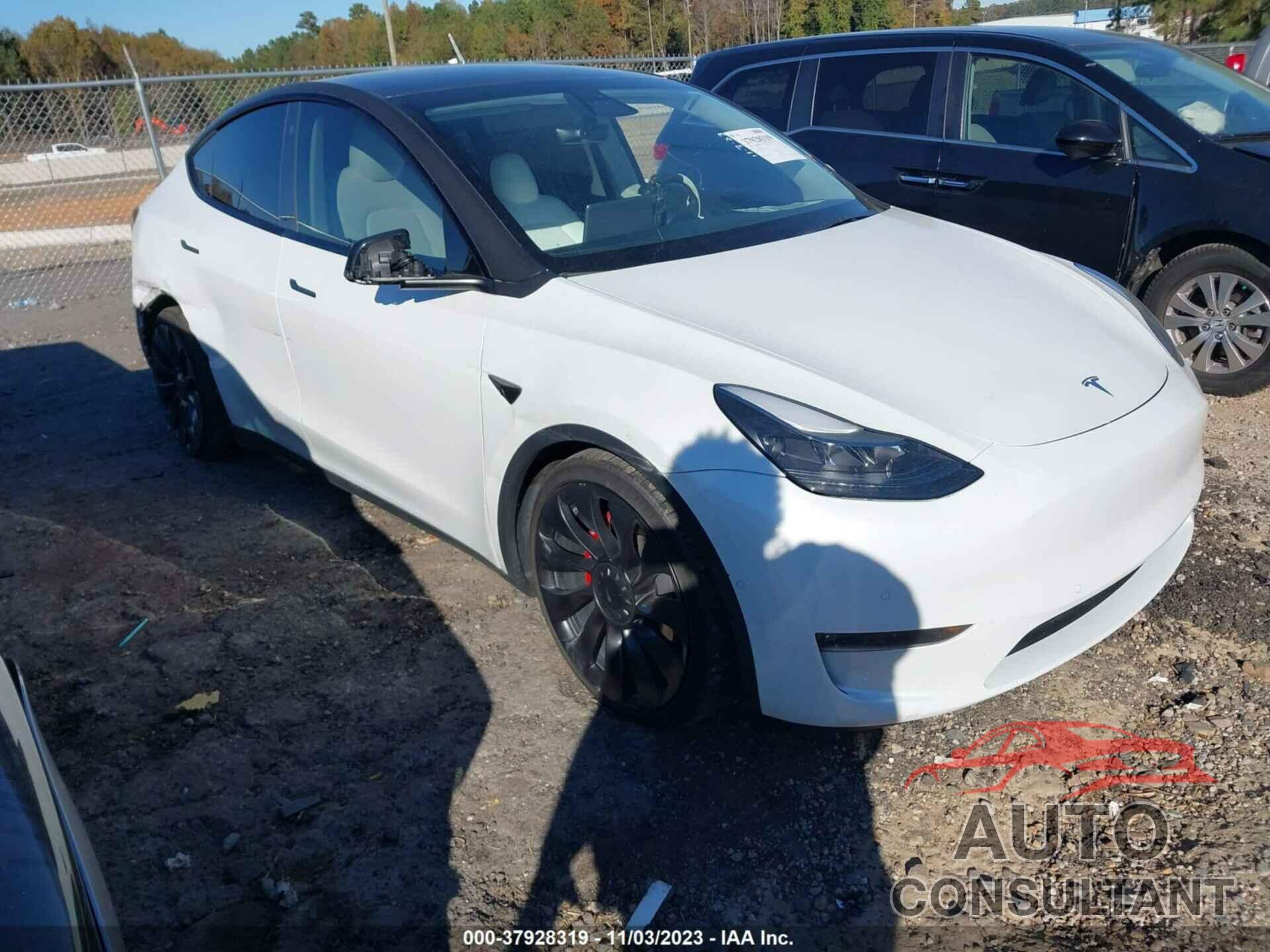 TESLA MODEL Y 2022 - 7SAYGDEF5NF381178