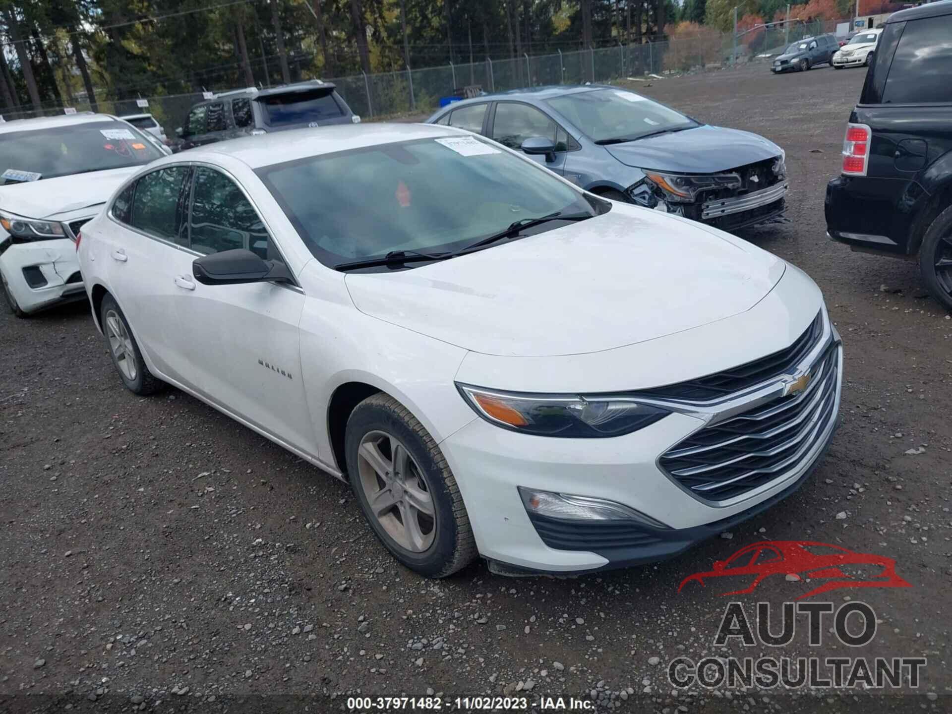 CHEVROLET MALIBU 2020 - 1G1ZC5STXLF005851